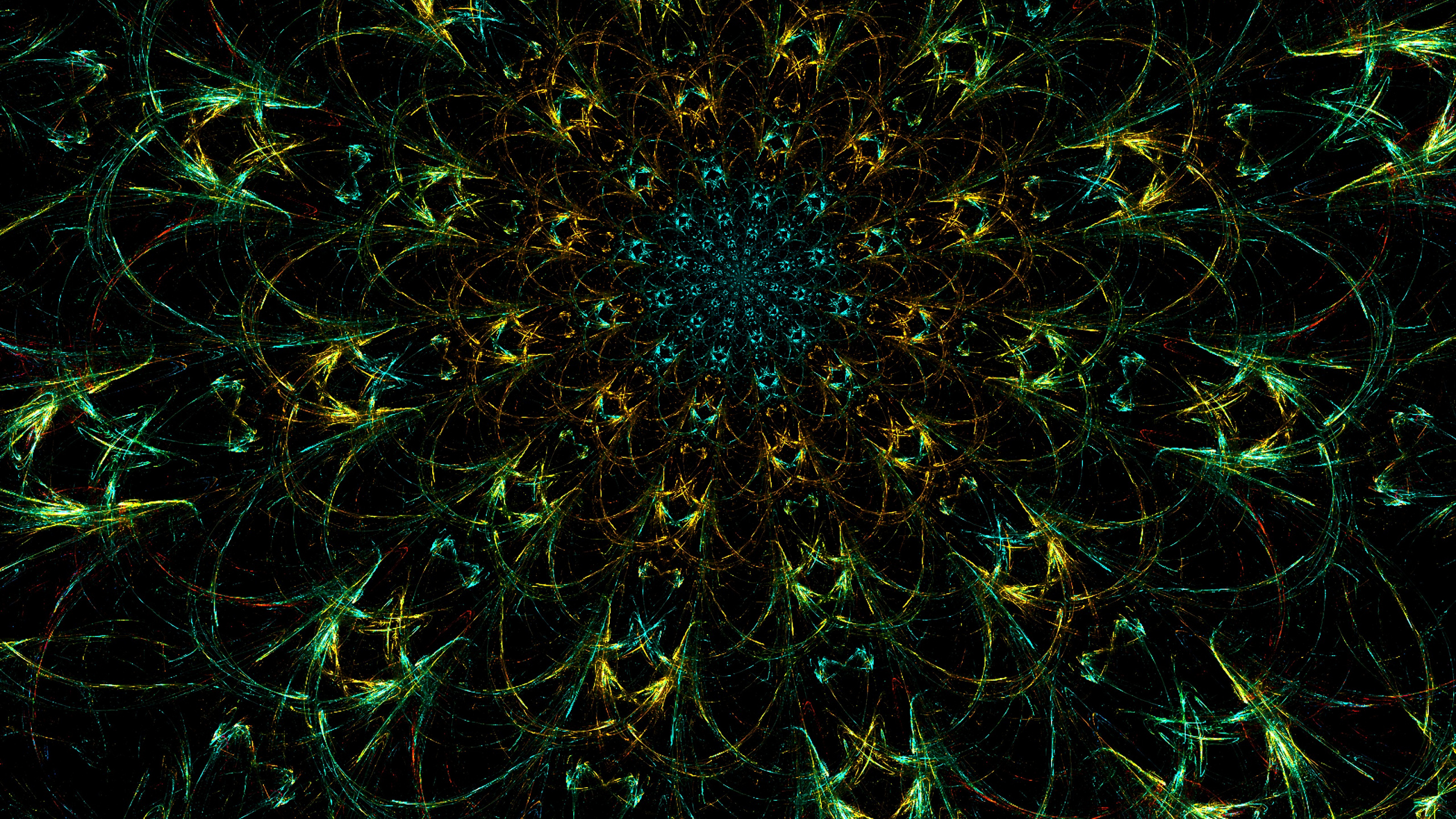 Обои дизайн, арт, узор, растительность, наземное растение в разрешении 2560x1440