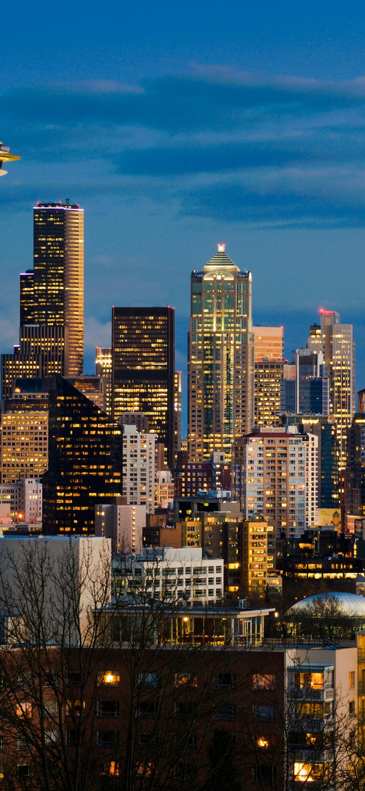 Обои Сиэтл, космическая игла, город, городской пейзаж, городской район в разрешении 1242x2688