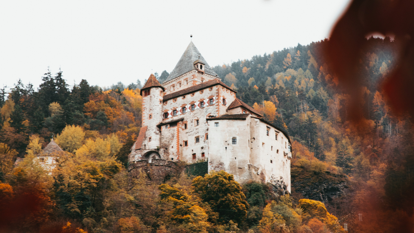Обои архитектура, лист, замок, осень, дерево в разрешении 1366x768