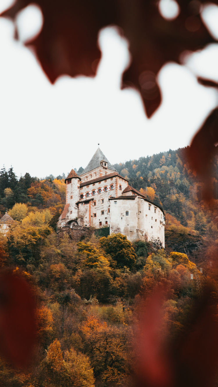 Обои архитектура, лист, замок, осень, дерево в разрешении 750x1334