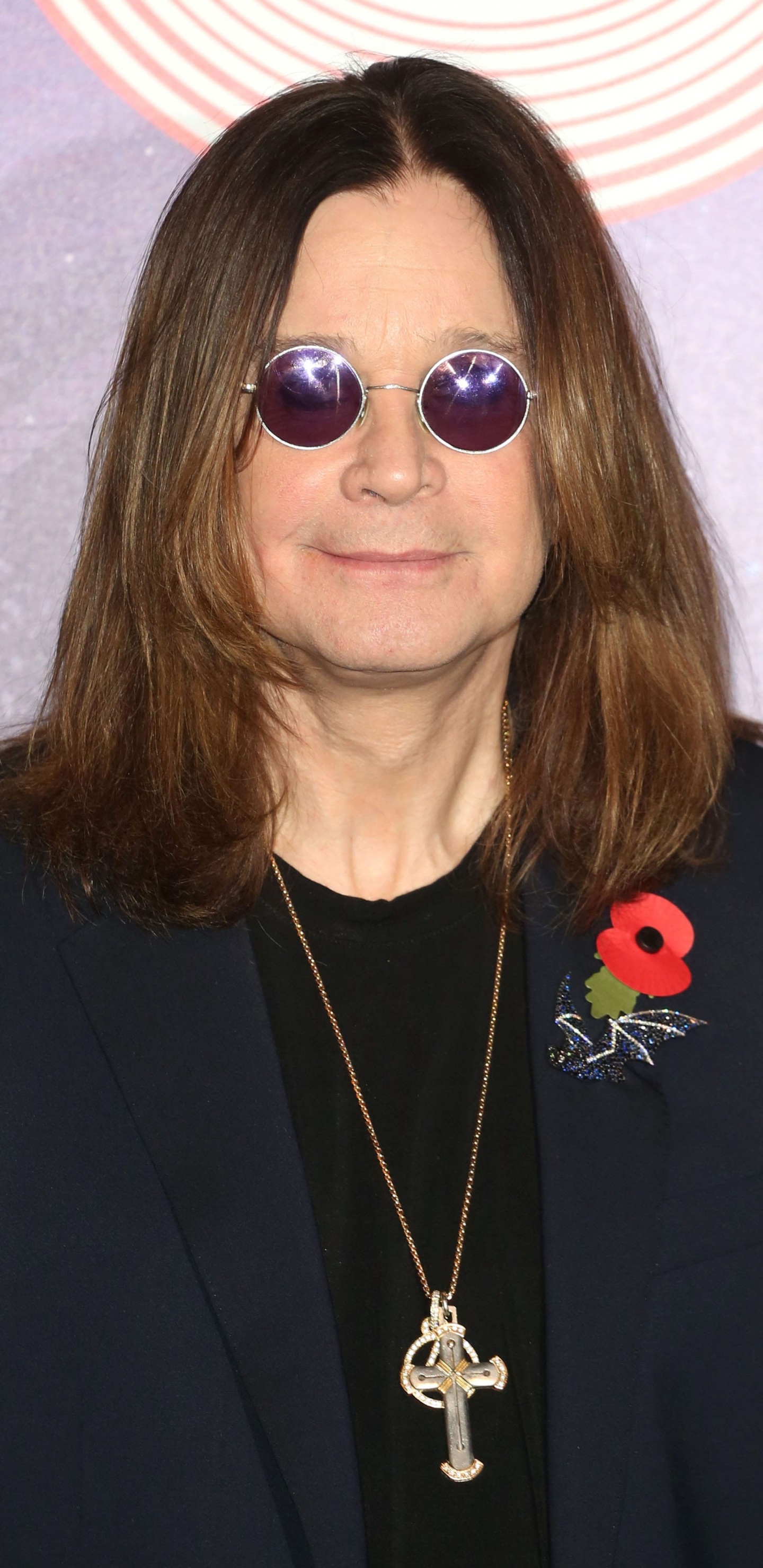 Обои знаменитость, волосы, прическа, длинные волосы, подбородок в разрешении 1440x2960