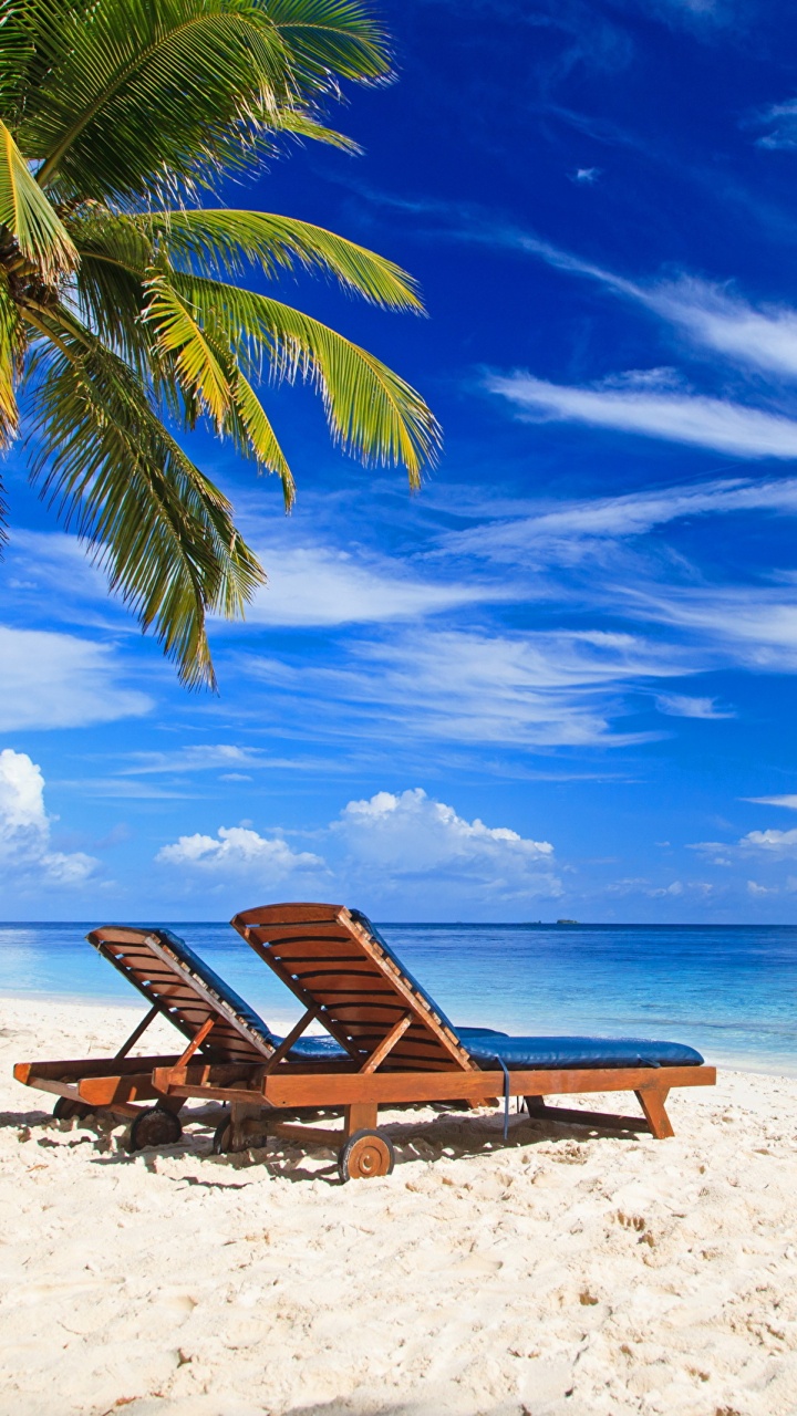 Обои пляж, отпуск, тропическая зона, Пальма, Карибский бассейн в разрешении 720x1280