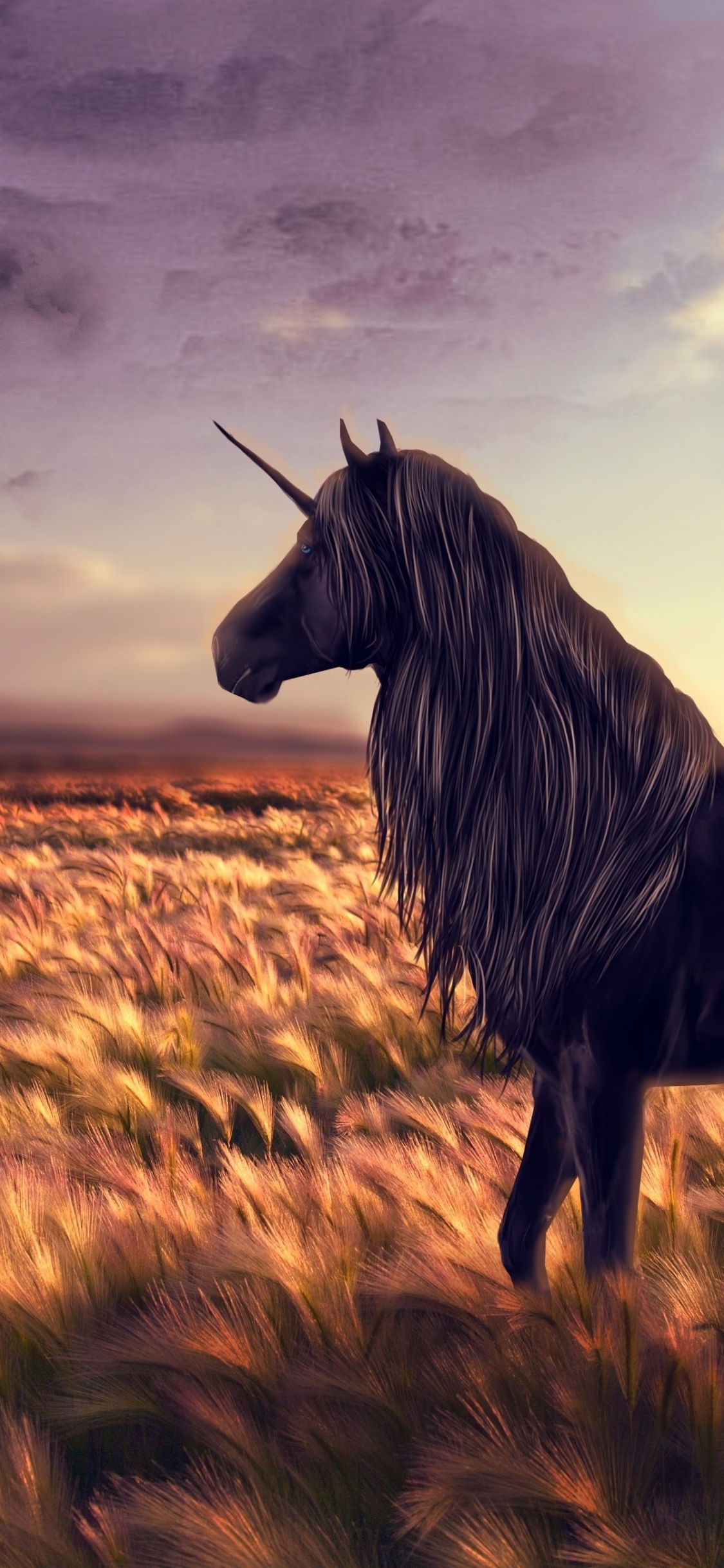 Обои грива, экорегион, живая природа, Мустанг лошадь, степ в разрешении 1125x2436