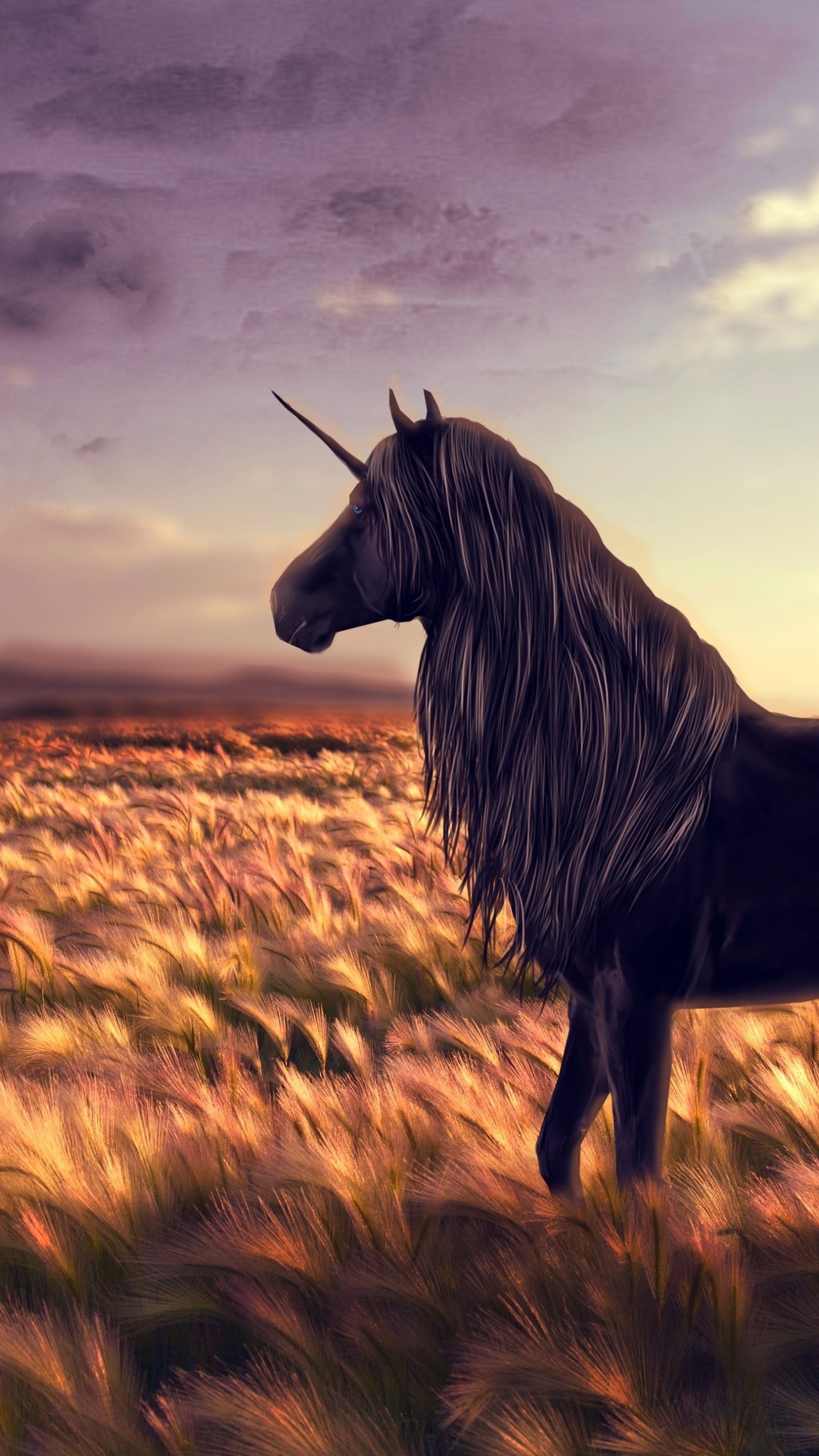 Обои грива, экорегион, живая природа, Мустанг лошадь, степ в разрешении 1440x2560