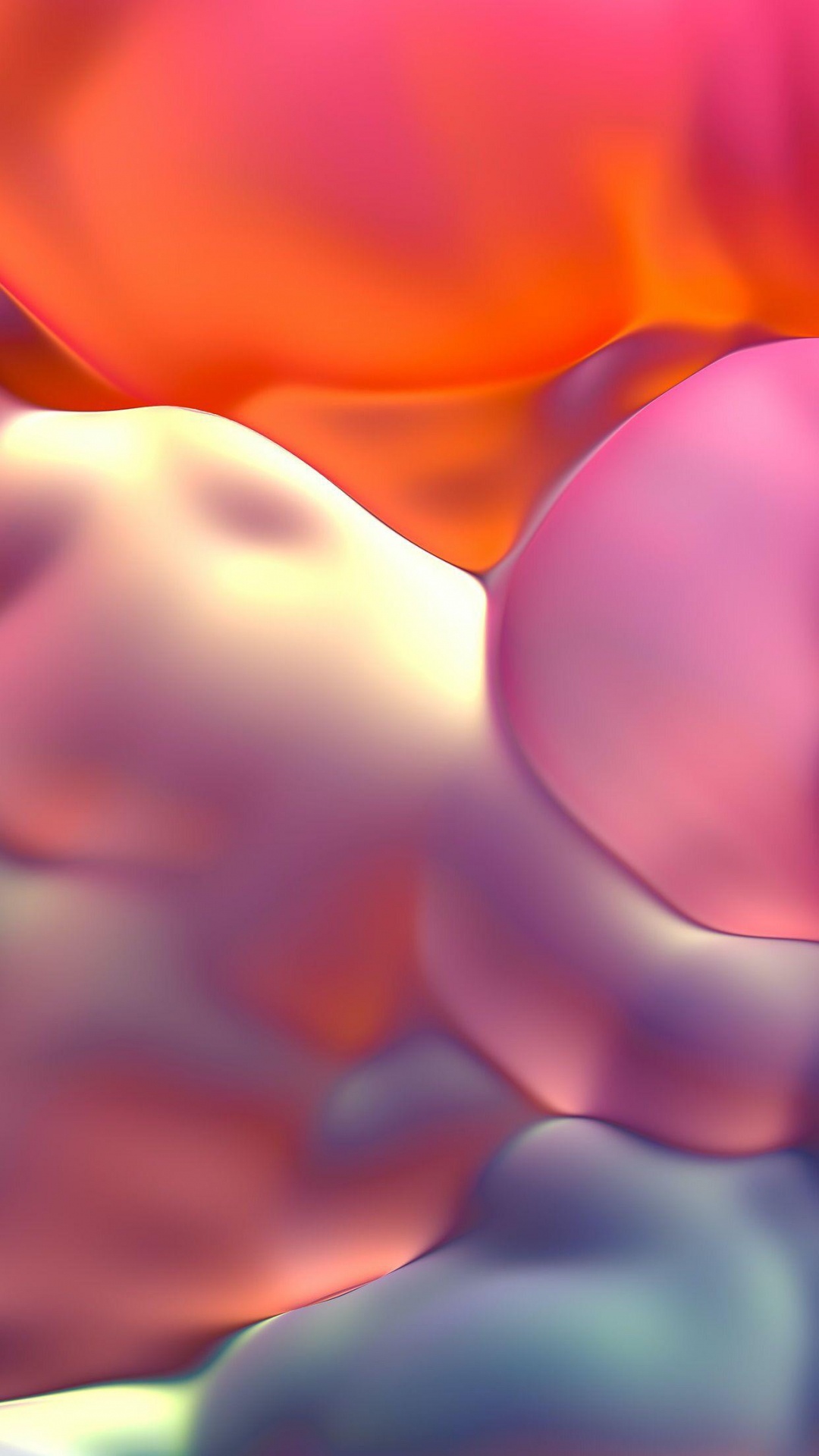 Обои цветок, пурпур, лепесток, Апельсин, розовый в разрешении 1080x1920