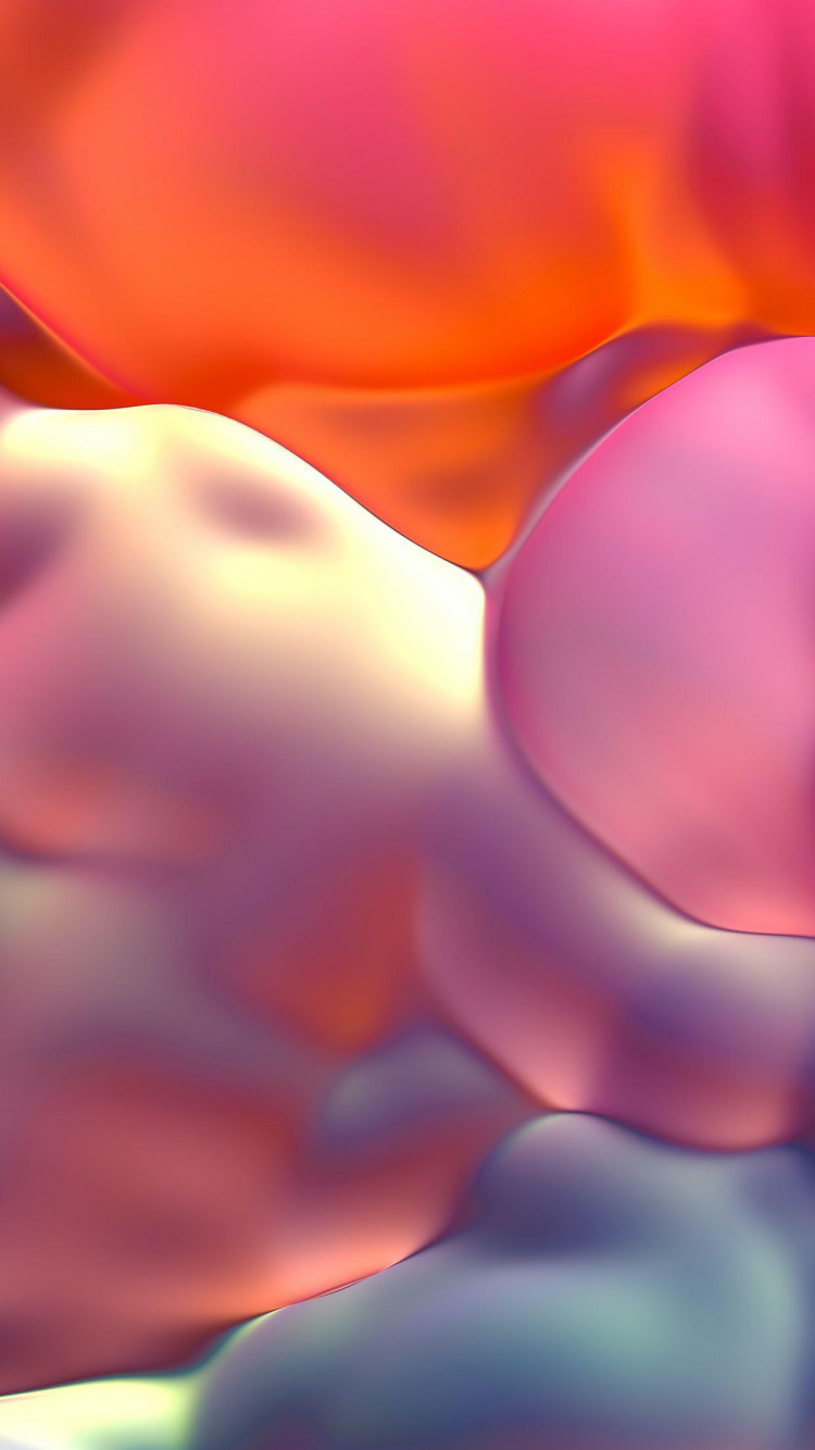 Обои цветок, пурпур, лепесток, Апельсин, розовый в разрешении 750x1334