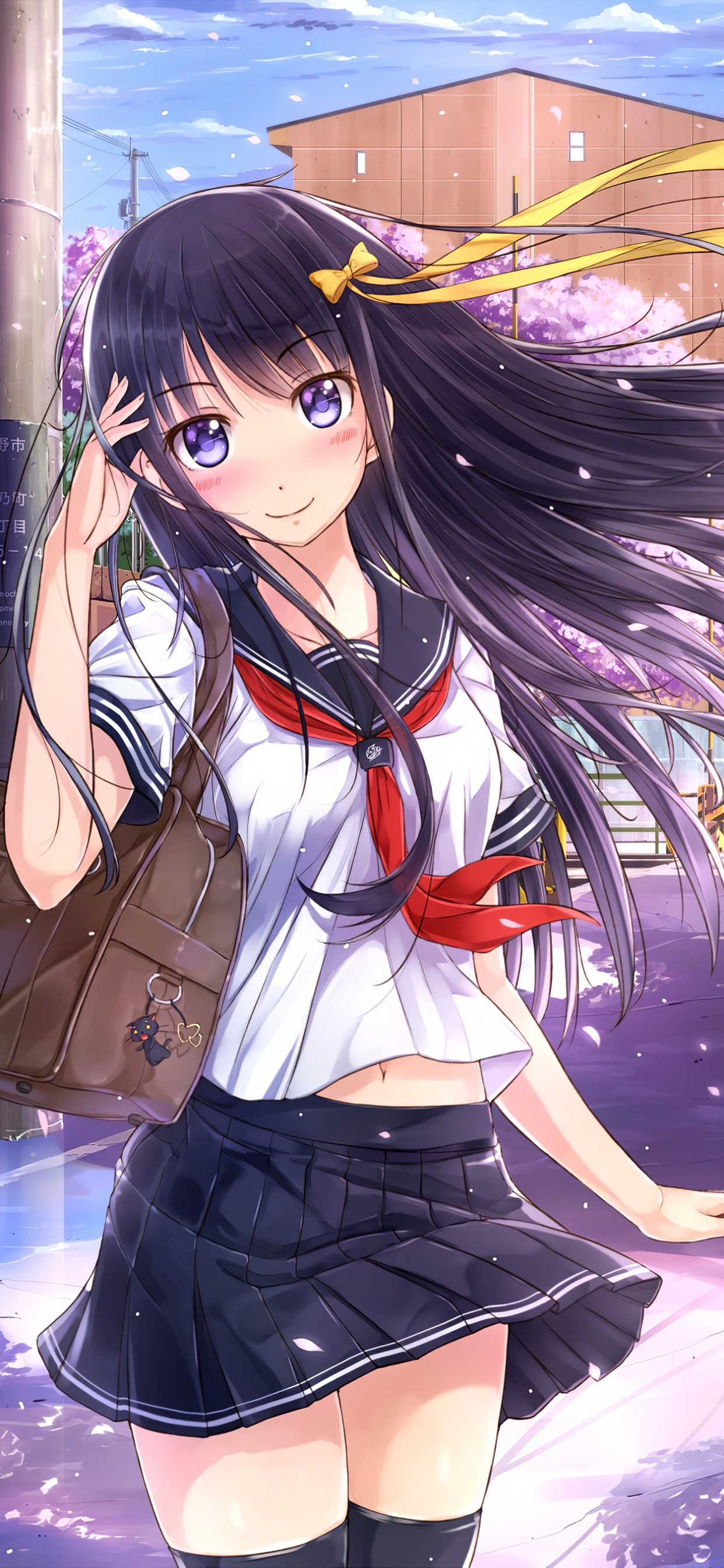 Обои аниме, длинные волосы, мультфильм, иллюстрация, химэ вырезать в разрешении 1242x2688