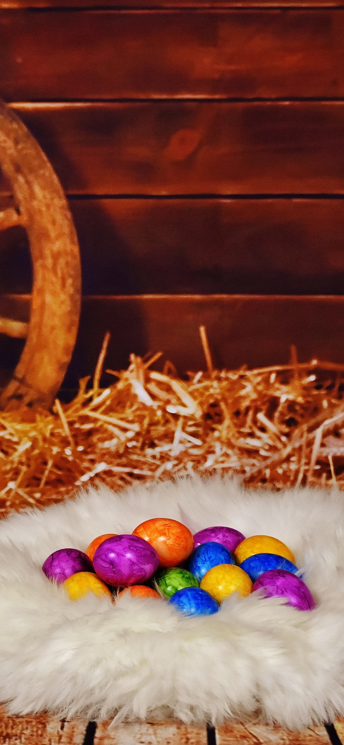 Обои счастливой Пасхи западной, пасхальное яйцо, праздник, пасха, кот в разрешении 1125x2436