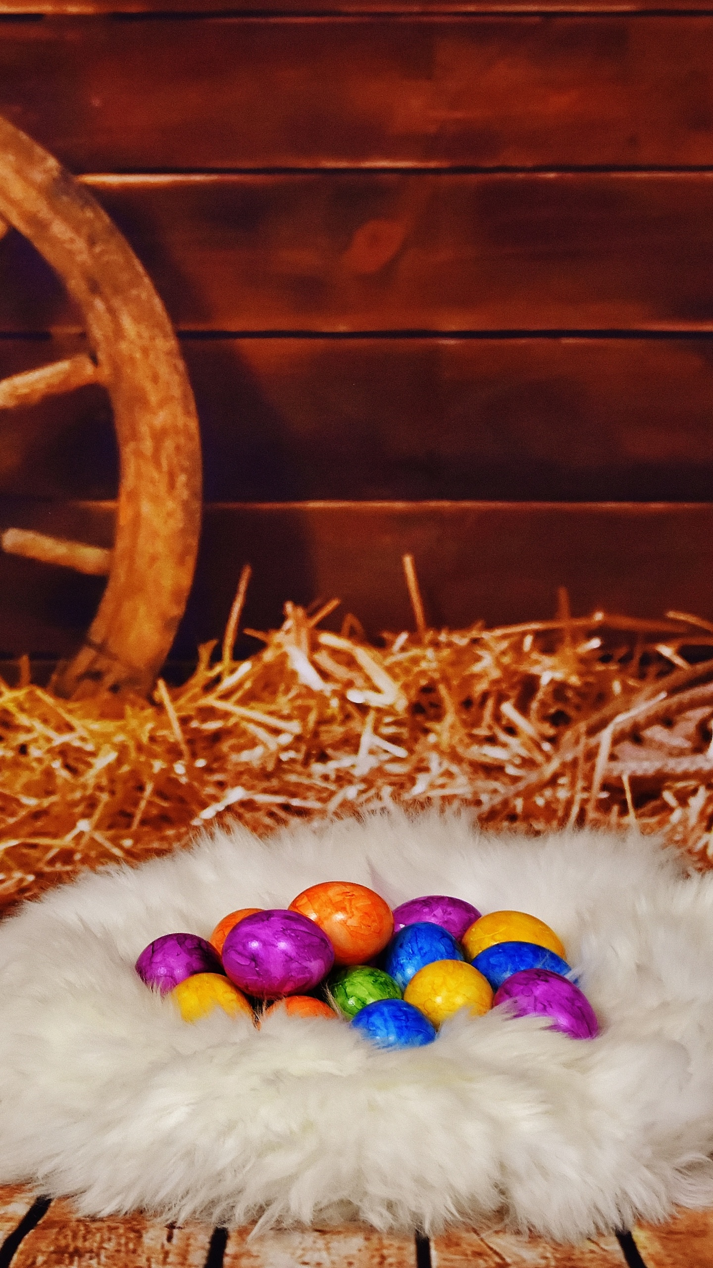 Обои счастливой Пасхи западной, пасхальное яйцо, праздник, пасха, кот в разрешении 1440x2560