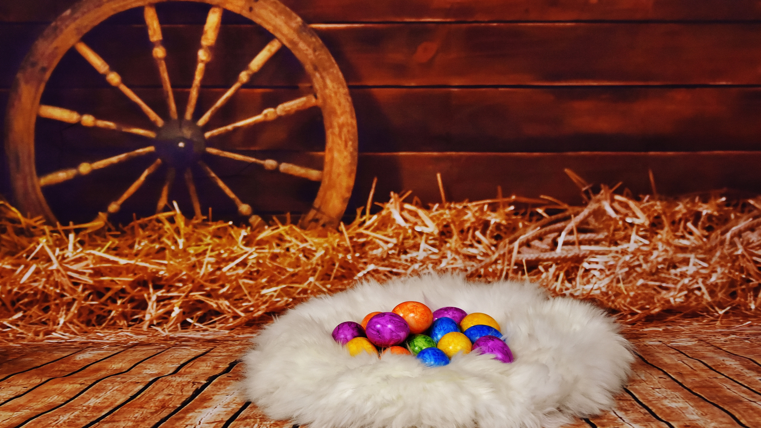 Обои счастливой Пасхи западной, пасхальное яйцо, праздник, пасха, кот в разрешении 2560x1440
