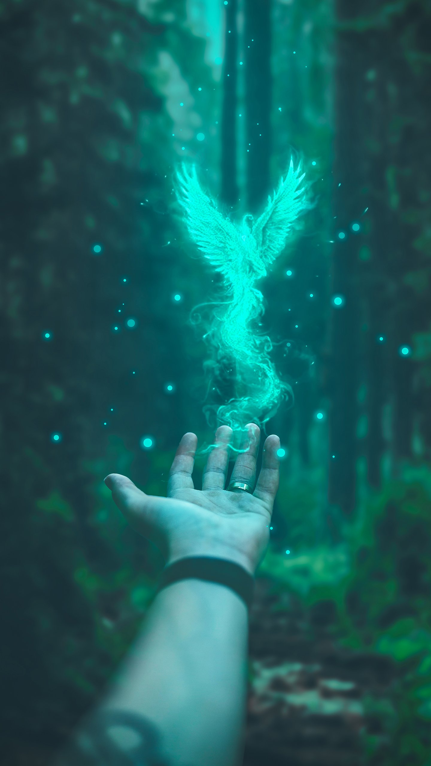 Обои подземные воды, вода, растение, зеленый, лазурный в разрешении 1440x2560