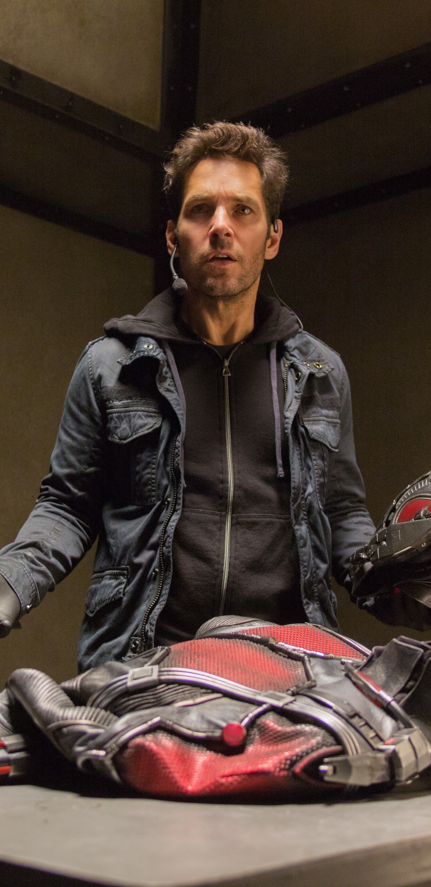 Обои Пол Радд Человек муравей, пол Радд, Человек-муравей, marvel, фильм в разрешении 1440x2960