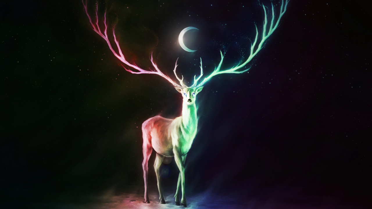 Обои олень, свет, Северный олень, графический дизайн, темнота в разрешении 1280x720