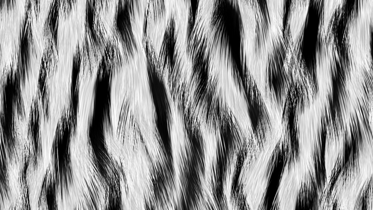 Обои мех, монохромный, узор, живая природа, ствол в разрешении 1280x720