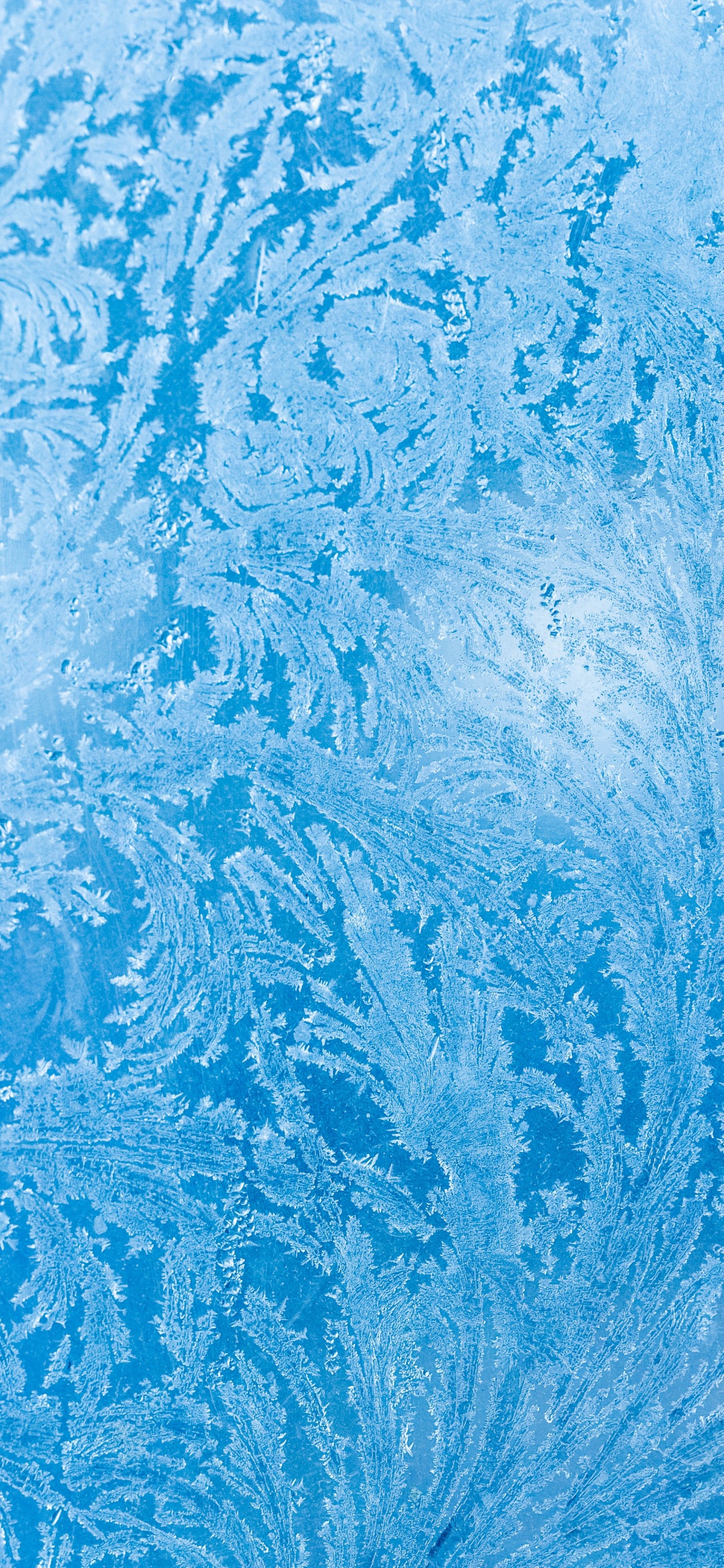 Обои синий, узор, Аква, лазурный, бирюза в разрешении 1125x2436
