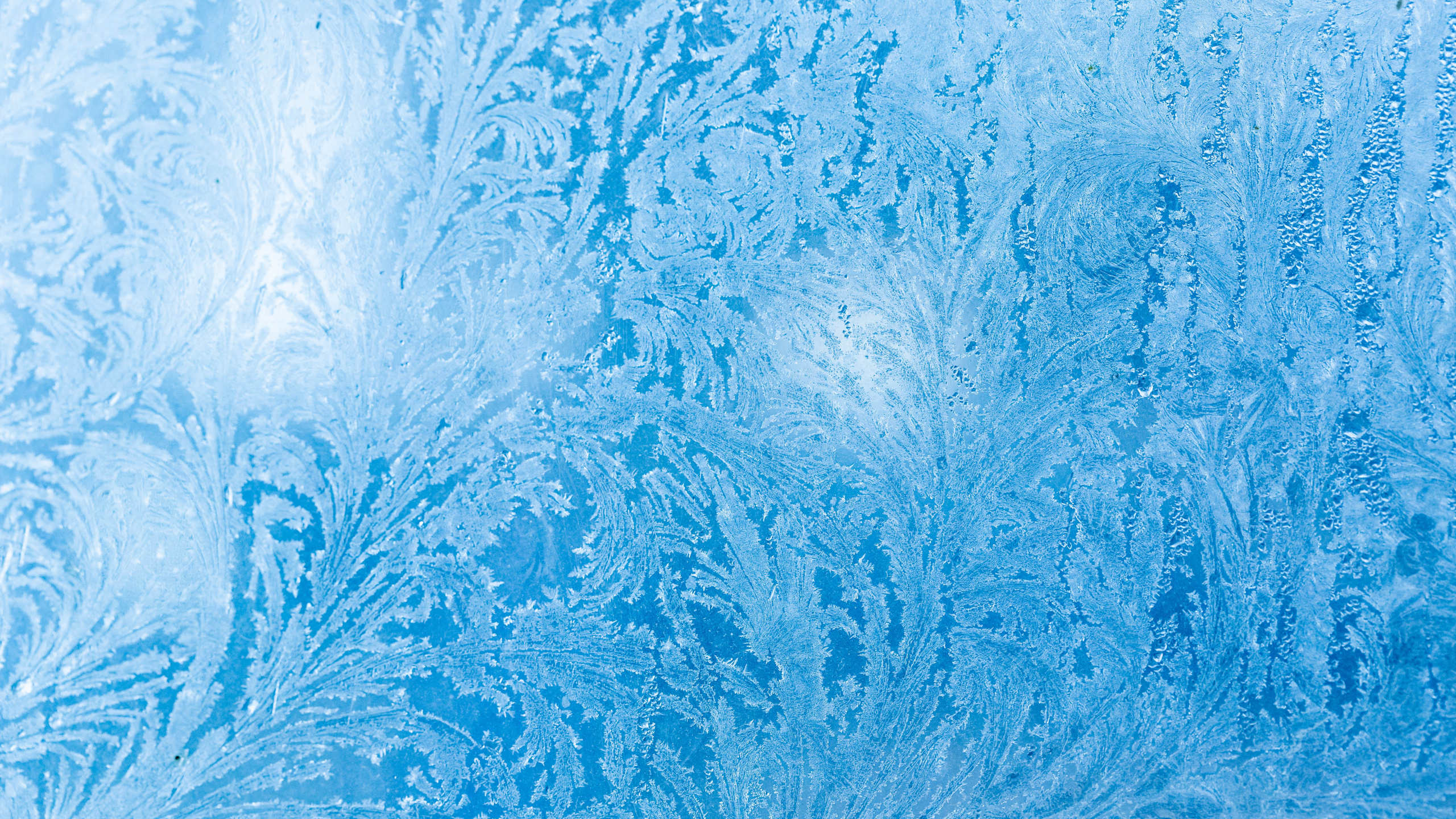 Обои синий, узор, Аква, лазурный, бирюза в разрешении 2560x1440