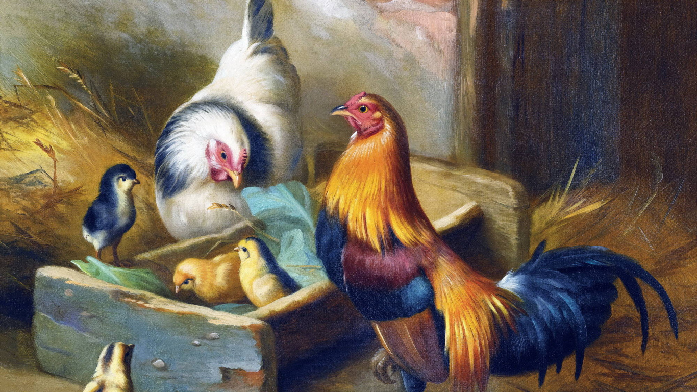 Обои живопись, арт, художник, курица, птица в разрешении 1366x768