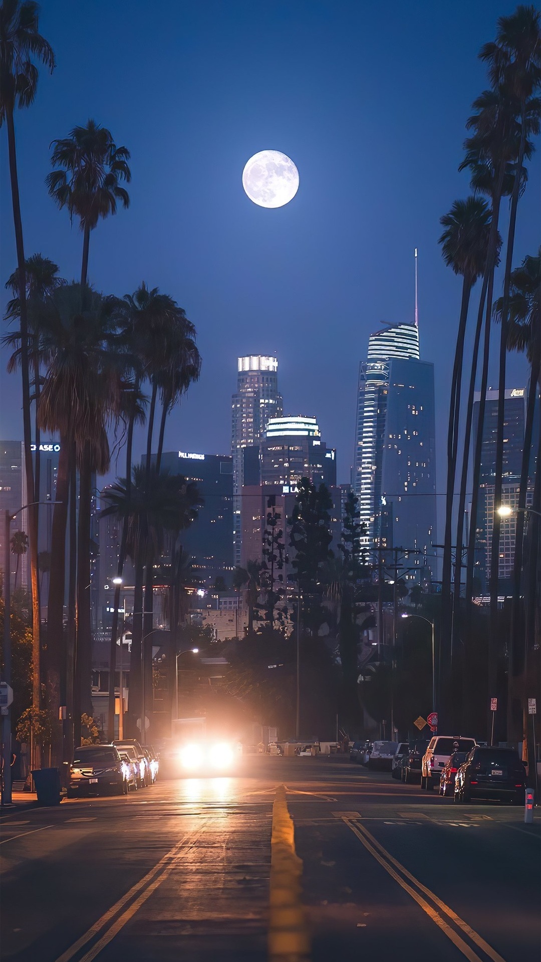 Обои здание, дневное время, атмосфера, небоскреб, растение в разрешении 1080x1920