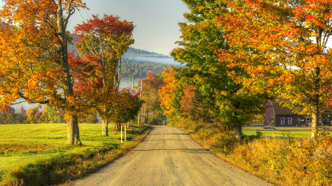 Обои осень, дерево, природа, лист, дорога в разрешении 1280x720