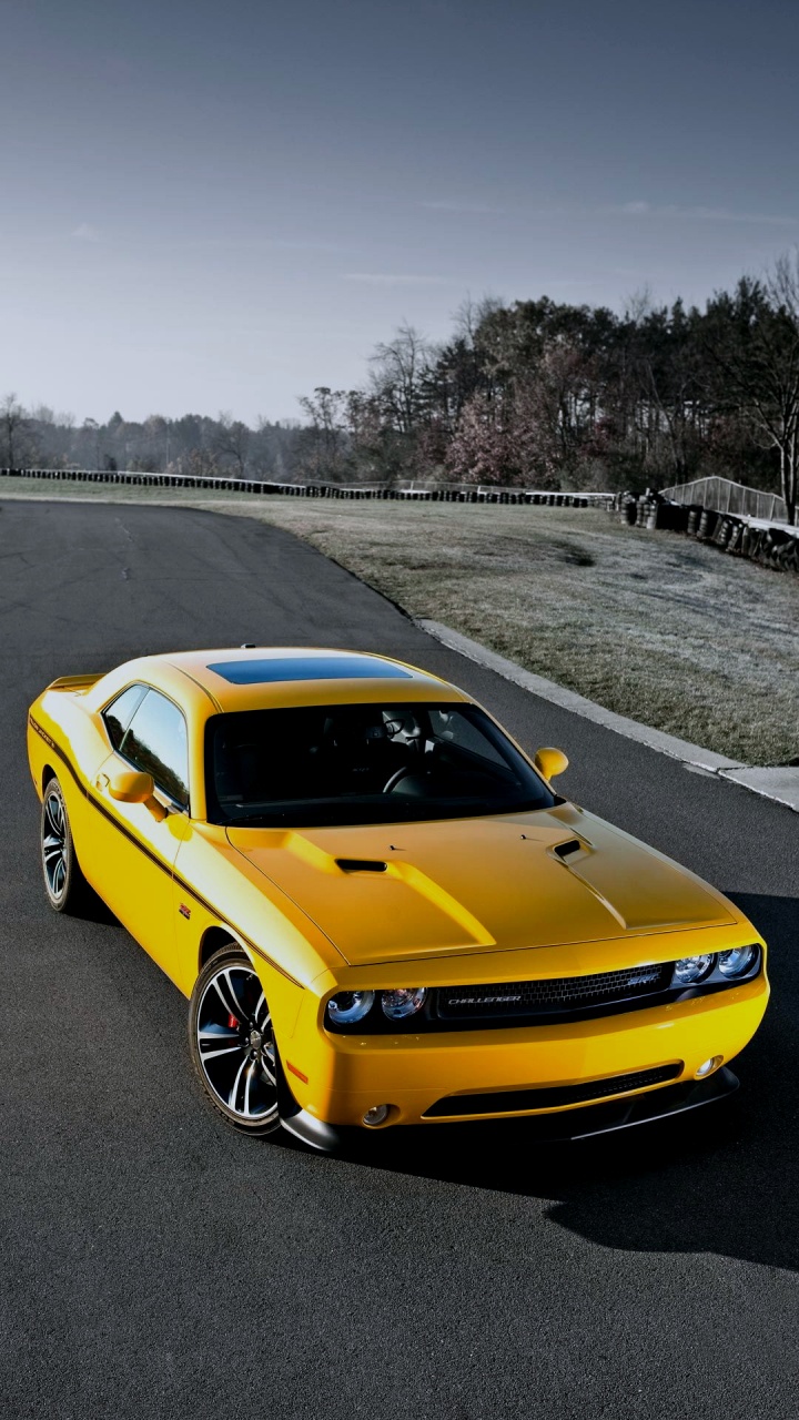 Обои желтая куртка Dodge Challenger, 2017 Додж Челленджер, 2008 Додж Челенджер, Додж Челленджер 2022 года, dodge в разрешении 720x1280