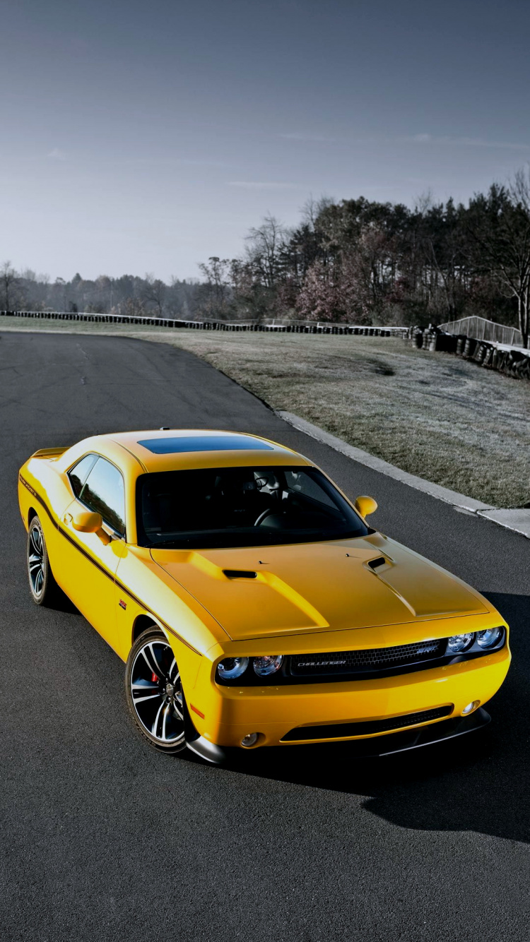 Обои желтая куртка Dodge Challenger, 2017 Додж Челленджер, 2008 Додж Челенджер, Додж Челленджер 2022 года, dodge в разрешении 750x1334