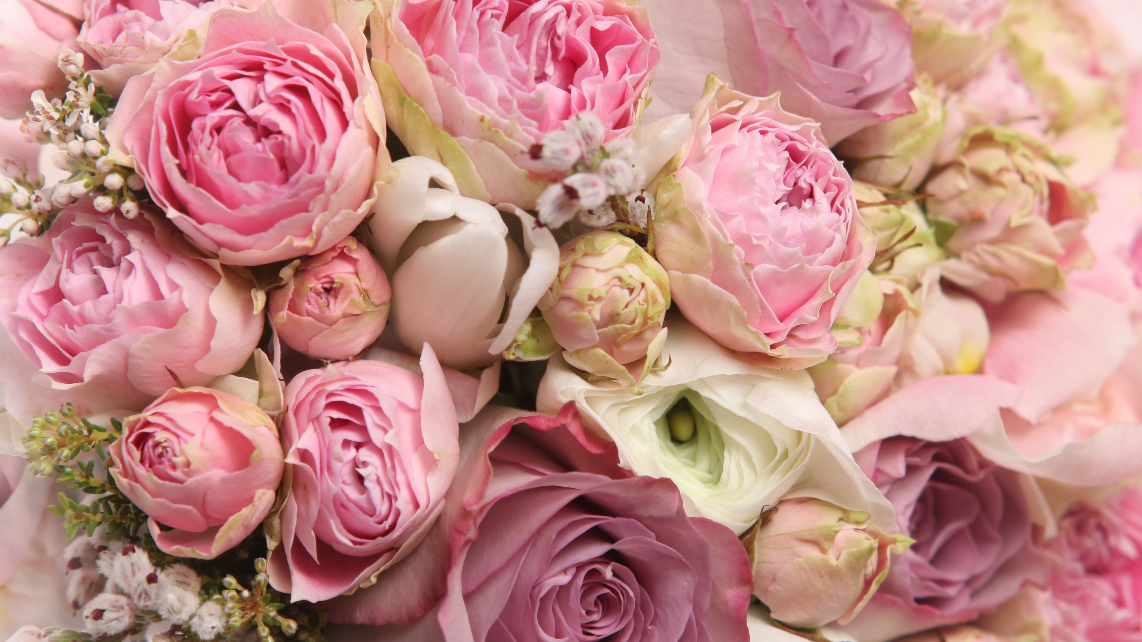 Обои Роза, цветок, цветочный букет, сад роз, срезанные цветы в разрешении 3840x2160