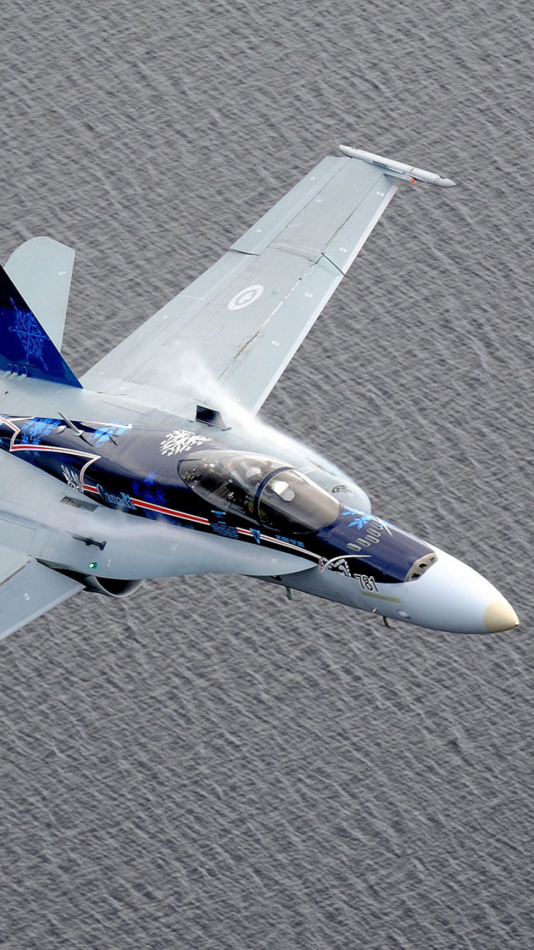 Обои военный самолет, авиация, аэрокосмическая техника, легкий самолет, истребитель в разрешении 750x1334