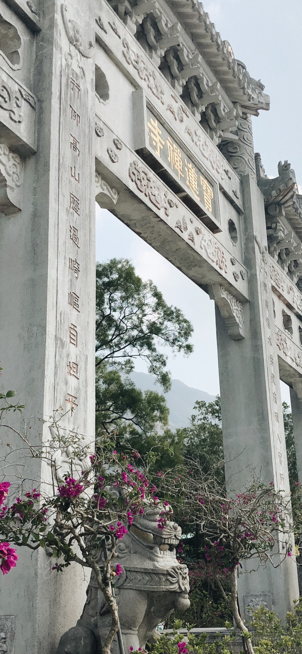 Обои столбец, весна, памятник, сад, Древний римской архитектуры в разрешении 1242x2688