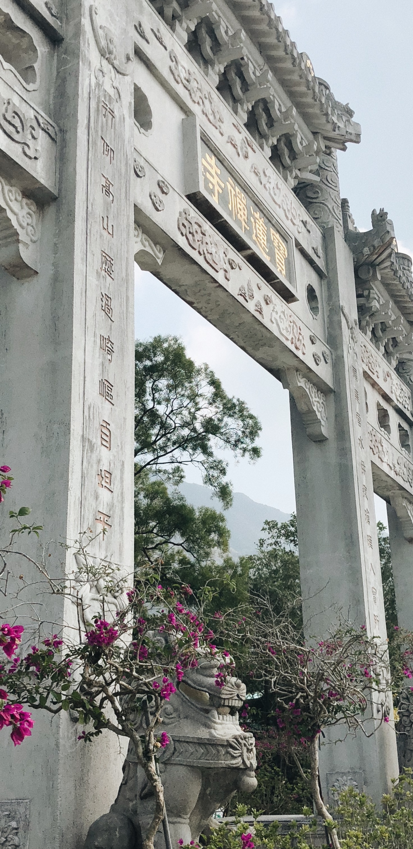 Обои столбец, весна, памятник, сад, Древний римской архитектуры в разрешении 1440x2960