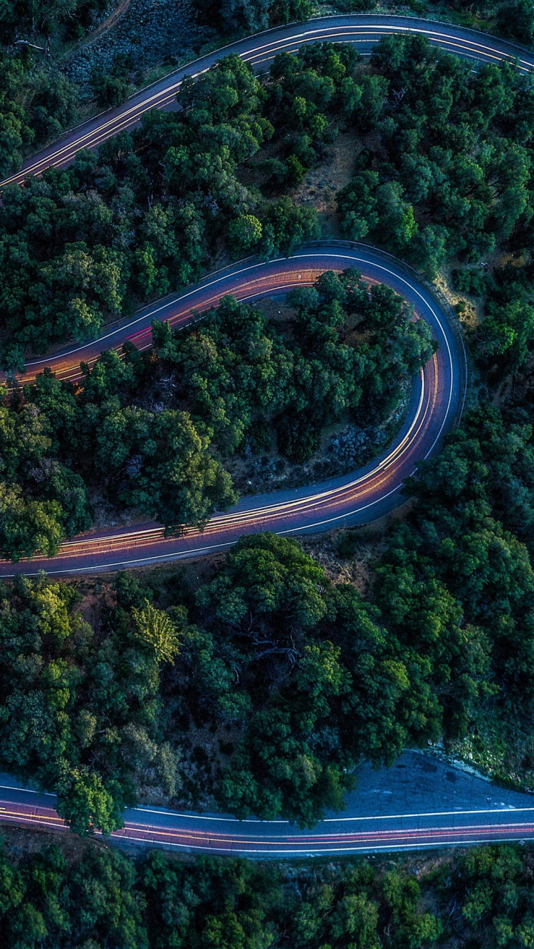 Обои природа, лист, тропические леса, растительность, дерево в разрешении 750x1334