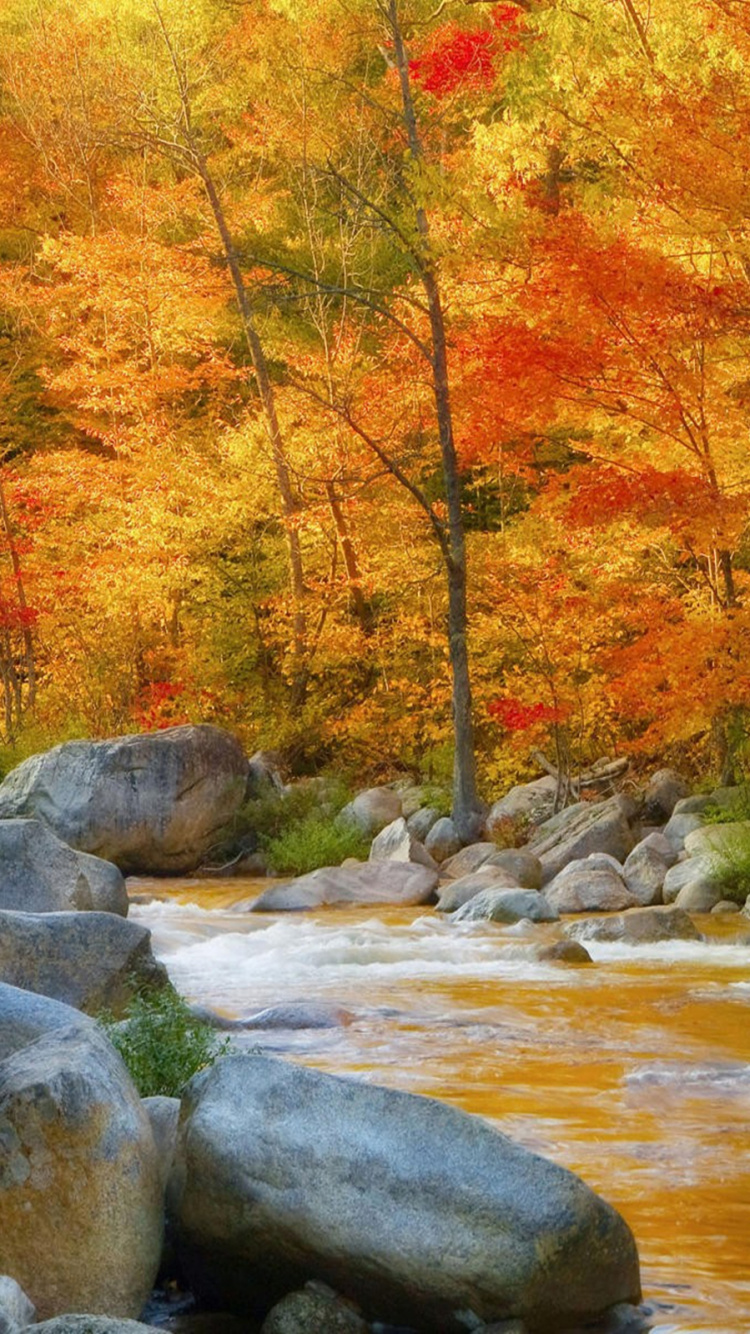 Обои осень, природа, поток, живопись, реки в разрешении 750x1334