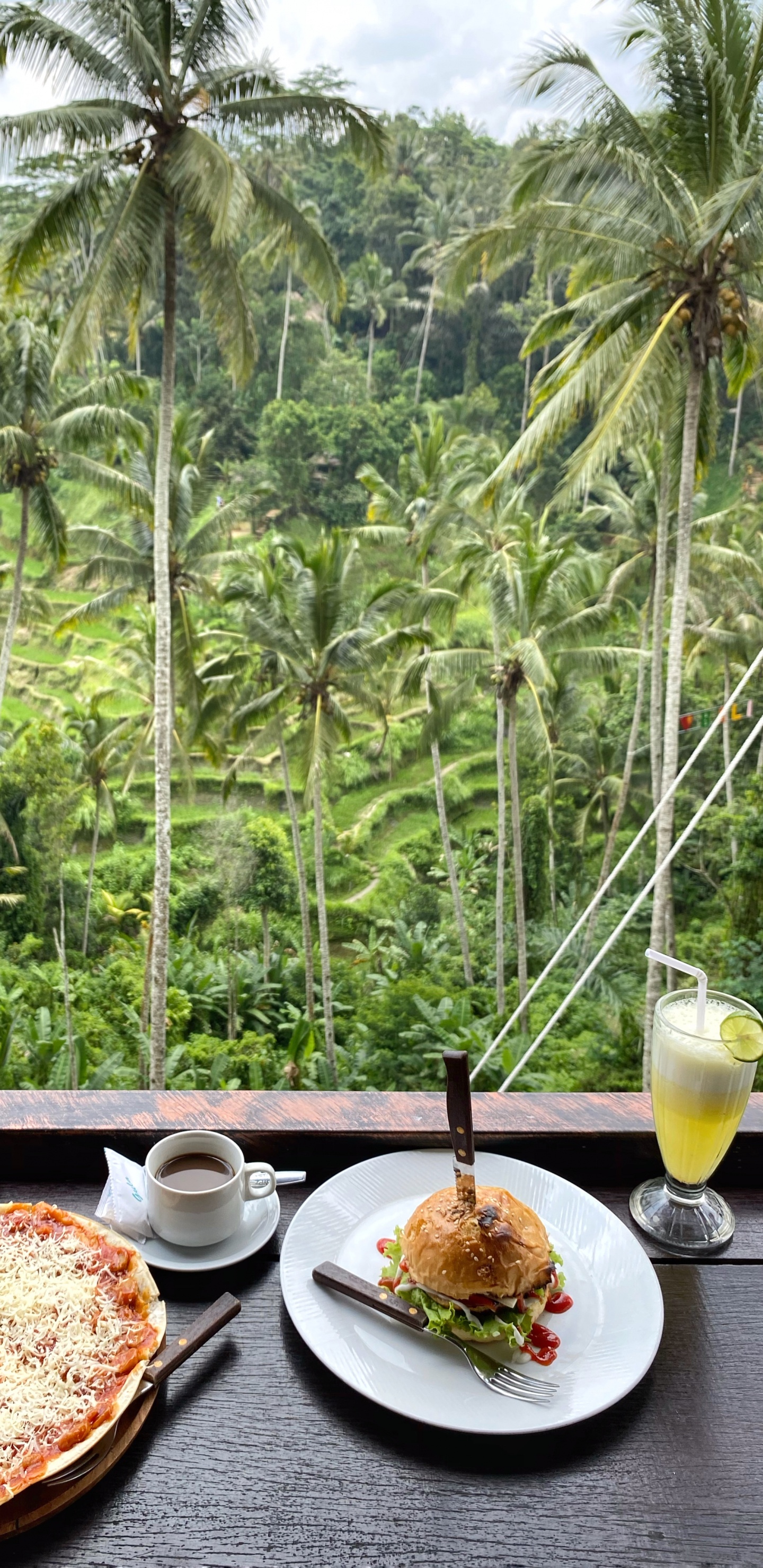 Обои Кокос, пальмовые рощи, пища, serveware, Кулинария в разрешении 1440x2960