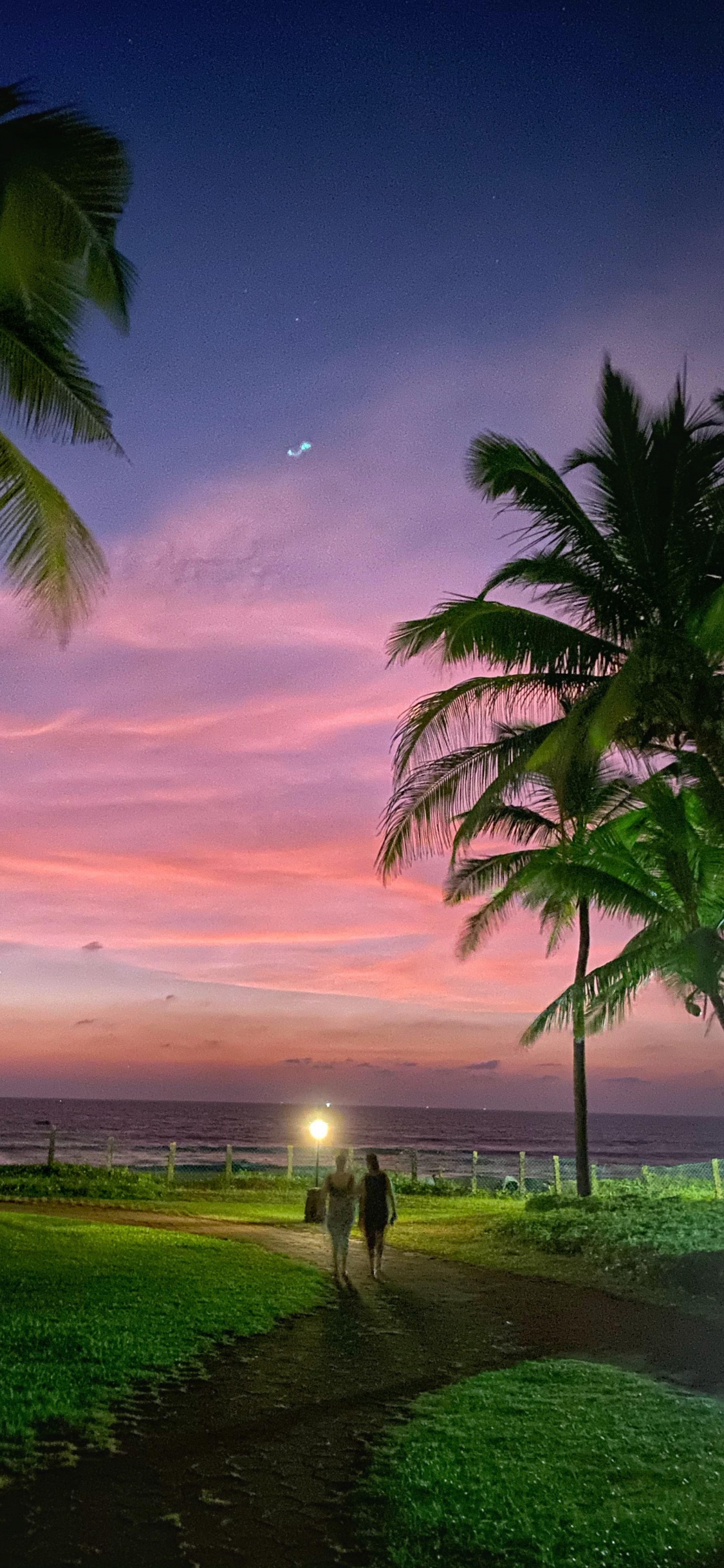 Обои природа, облако, атмосфера, растение, свет в разрешении 1125x2436