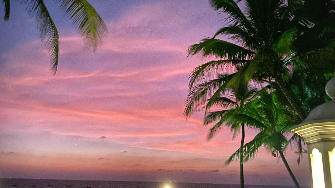 Обои природа, облако, атмосфера, растение, свет в разрешении 1280x720