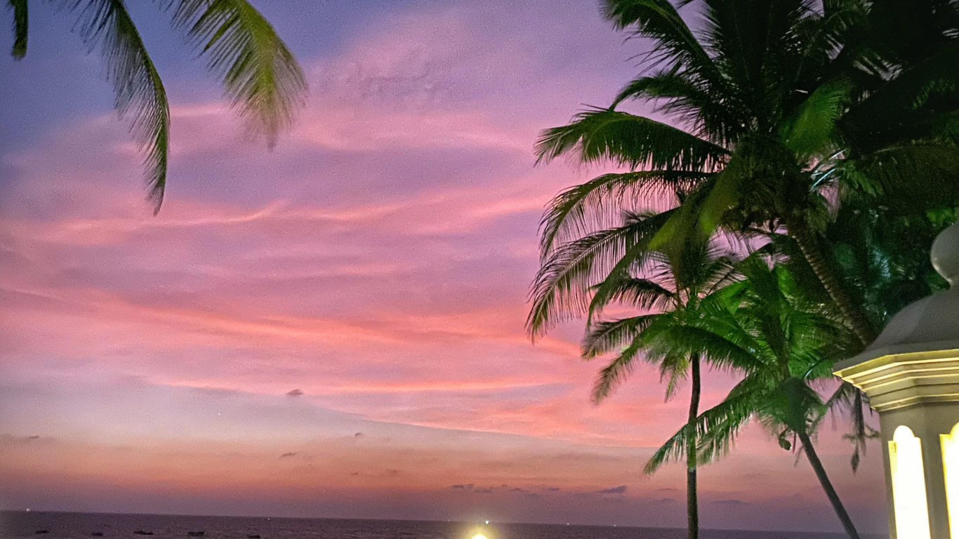 Обои природа, облако, атмосфера, растение, свет в разрешении 1366x768