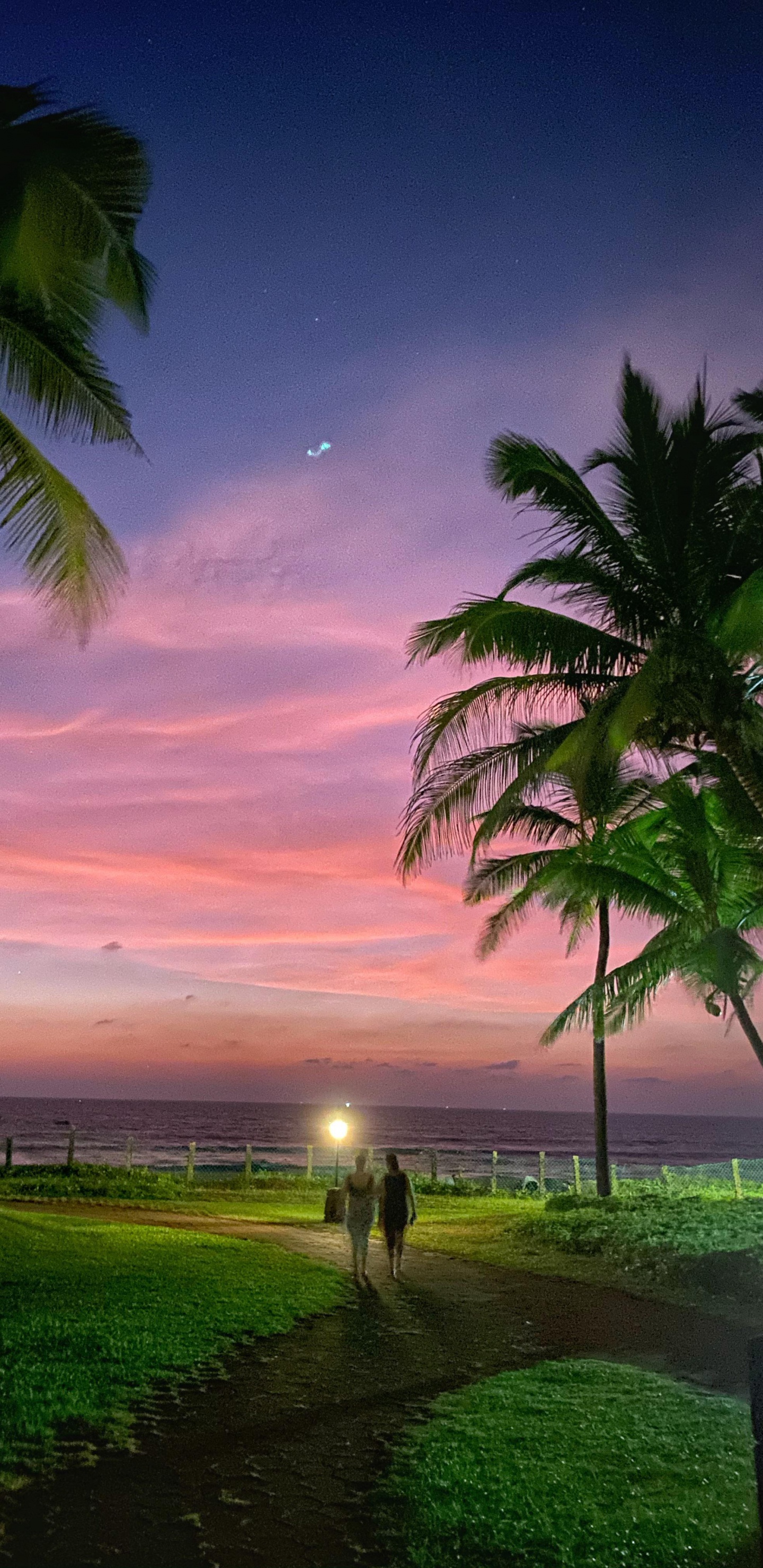 Обои природа, облако, атмосфера, растение, свет в разрешении 1440x2960