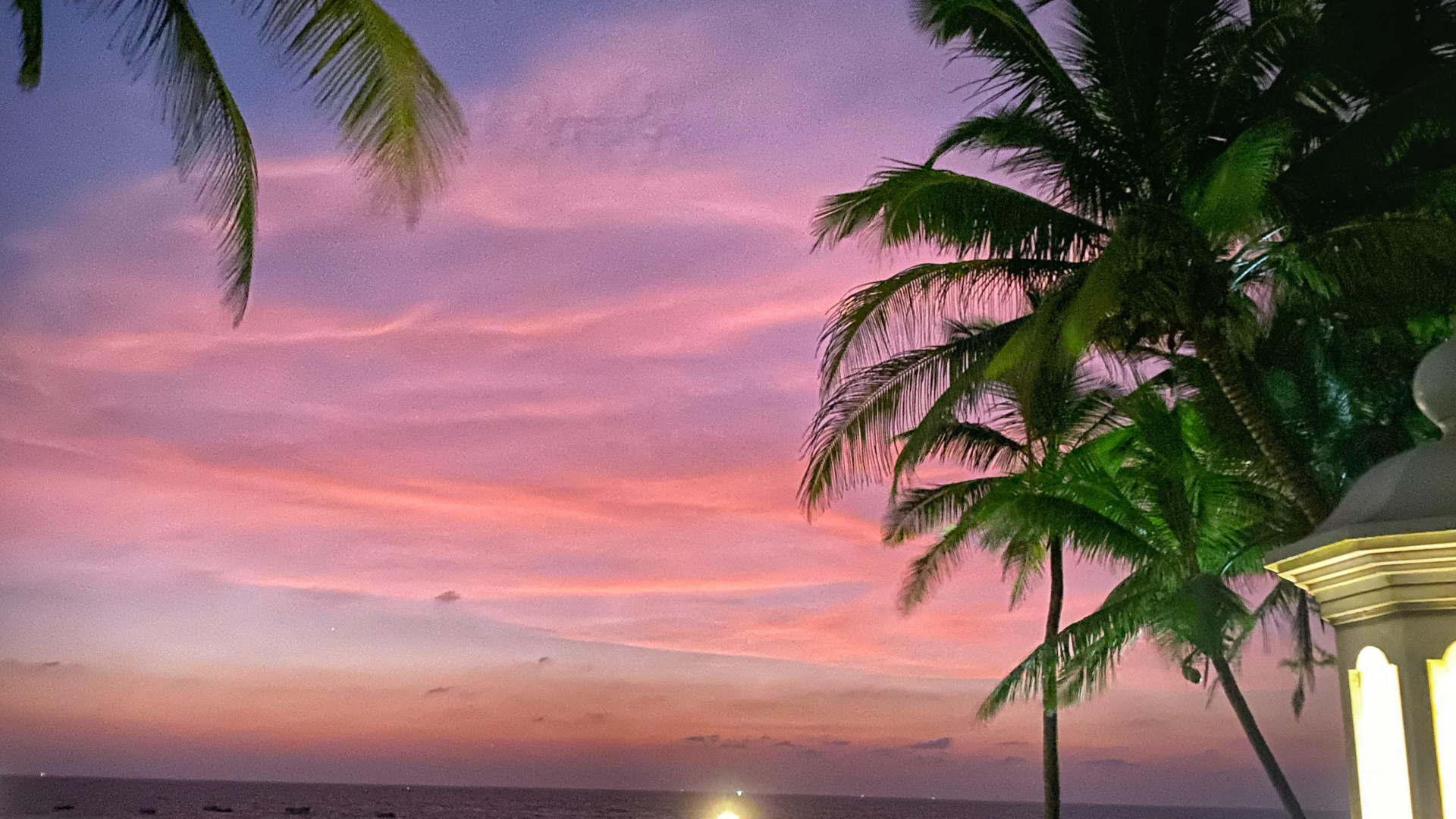 Обои природа, облако, атмосфера, растение, свет в разрешении 1920x1080