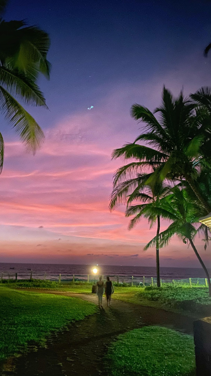 Обои природа, облако, атмосфера, растение, свет в разрешении 720x1280