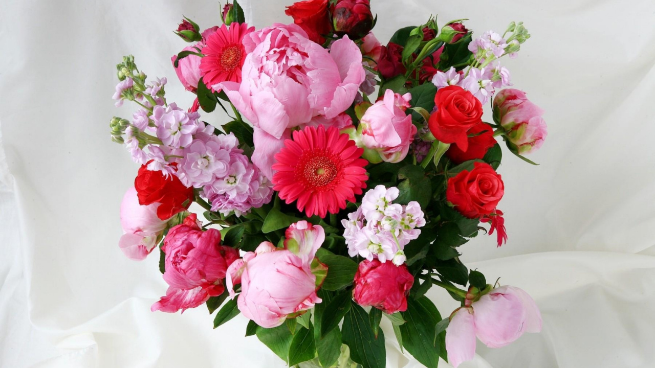 Обои ваза, цветочный дизайн, цветочный букет, цветковое растение, флористики в разрешении 1280x720