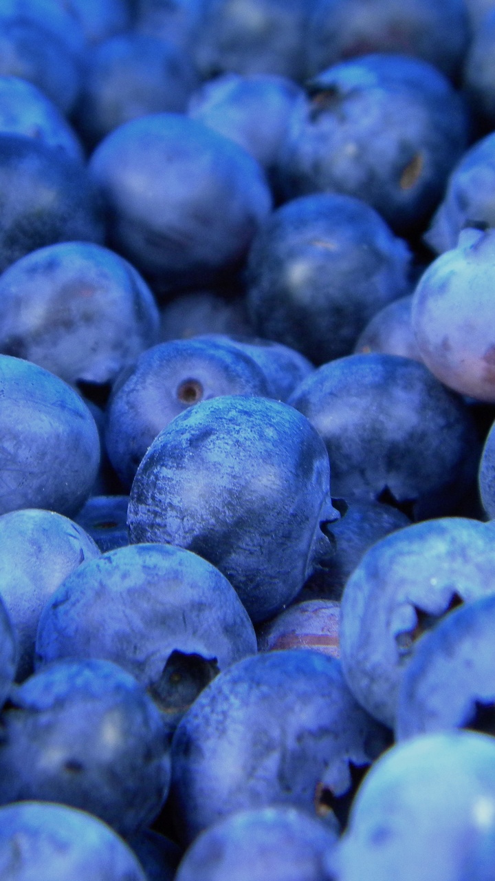 Обои Черника, фрукты, ягоды, синий, суперфуд в разрешении 720x1280