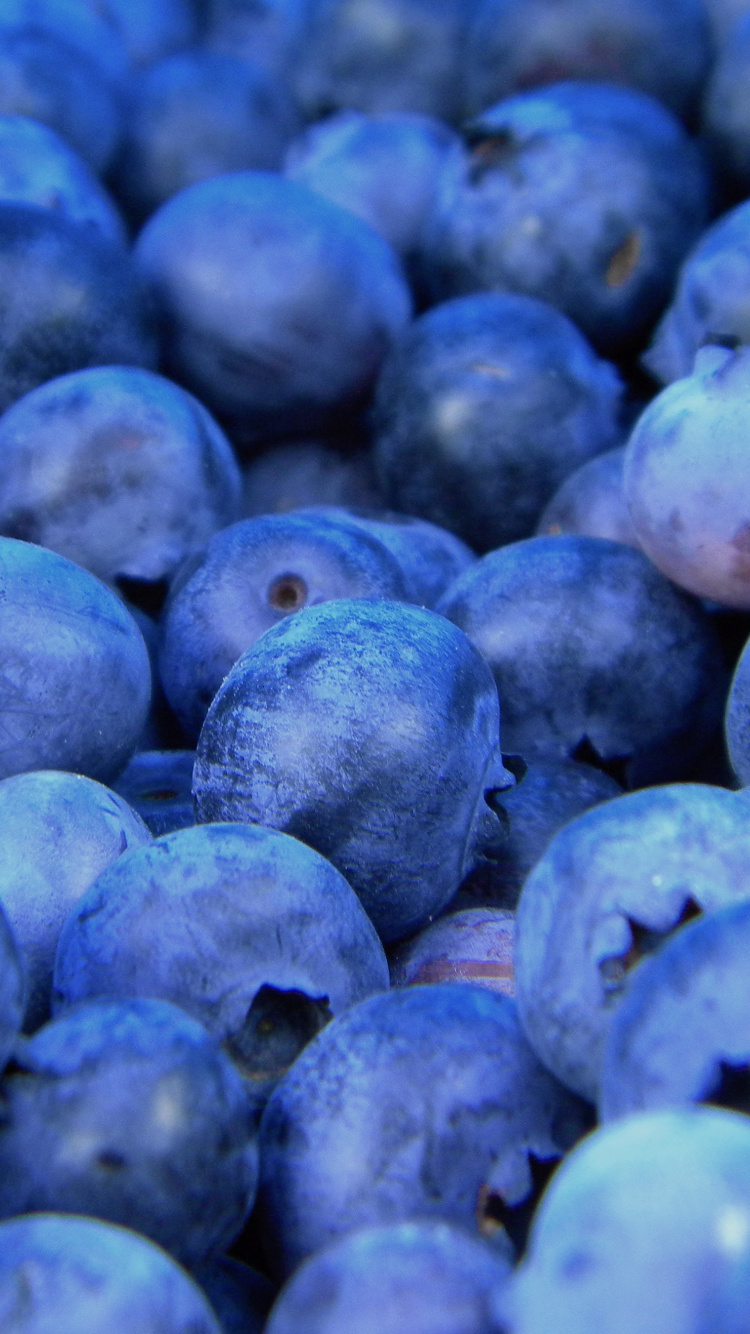 Обои Черника, фрукты, ягоды, синий, суперфуд в разрешении 750x1334