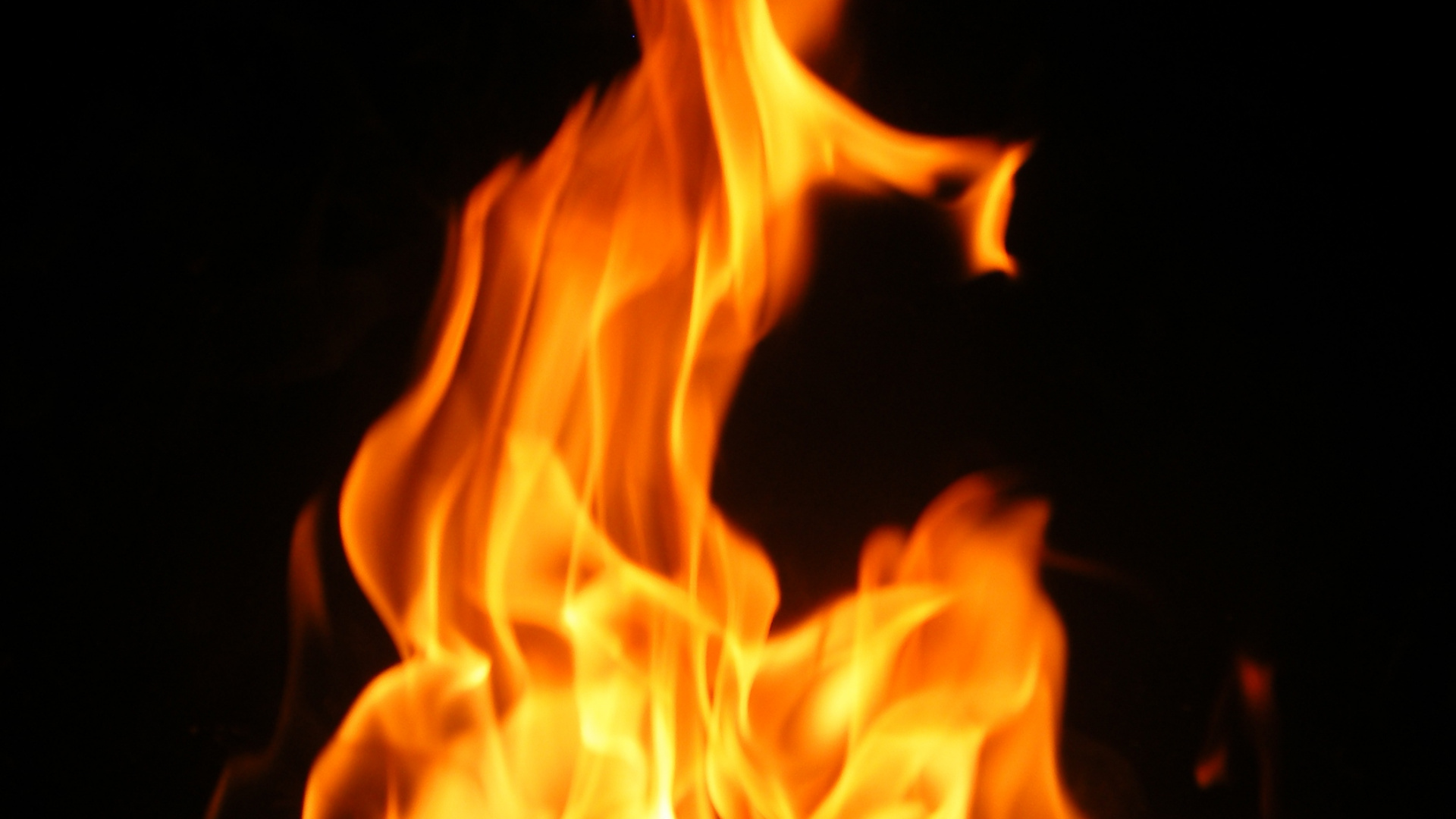 Обои кисть огонь, огонь, пламя, тепло, костер в разрешении 1920x1080