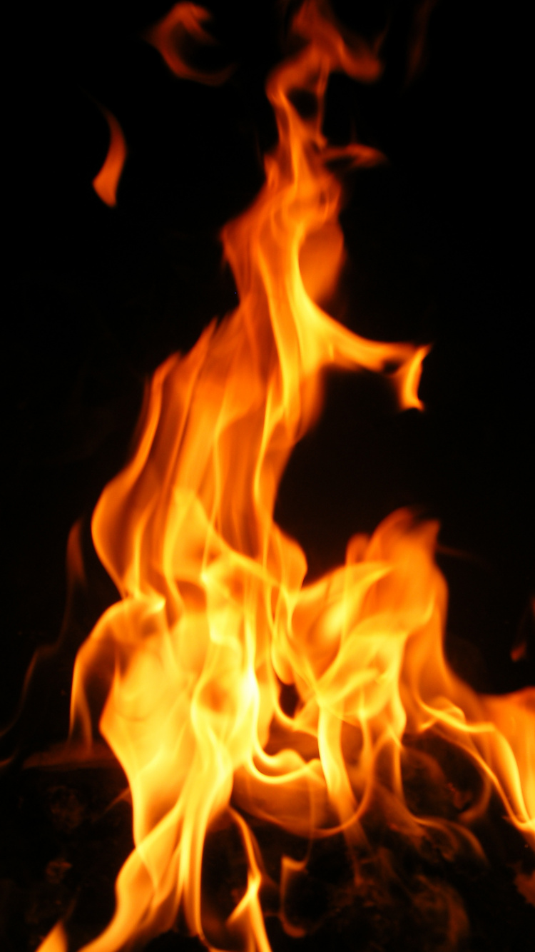Обои кисть огонь, огонь, пламя, тепло, костер в разрешении 750x1334