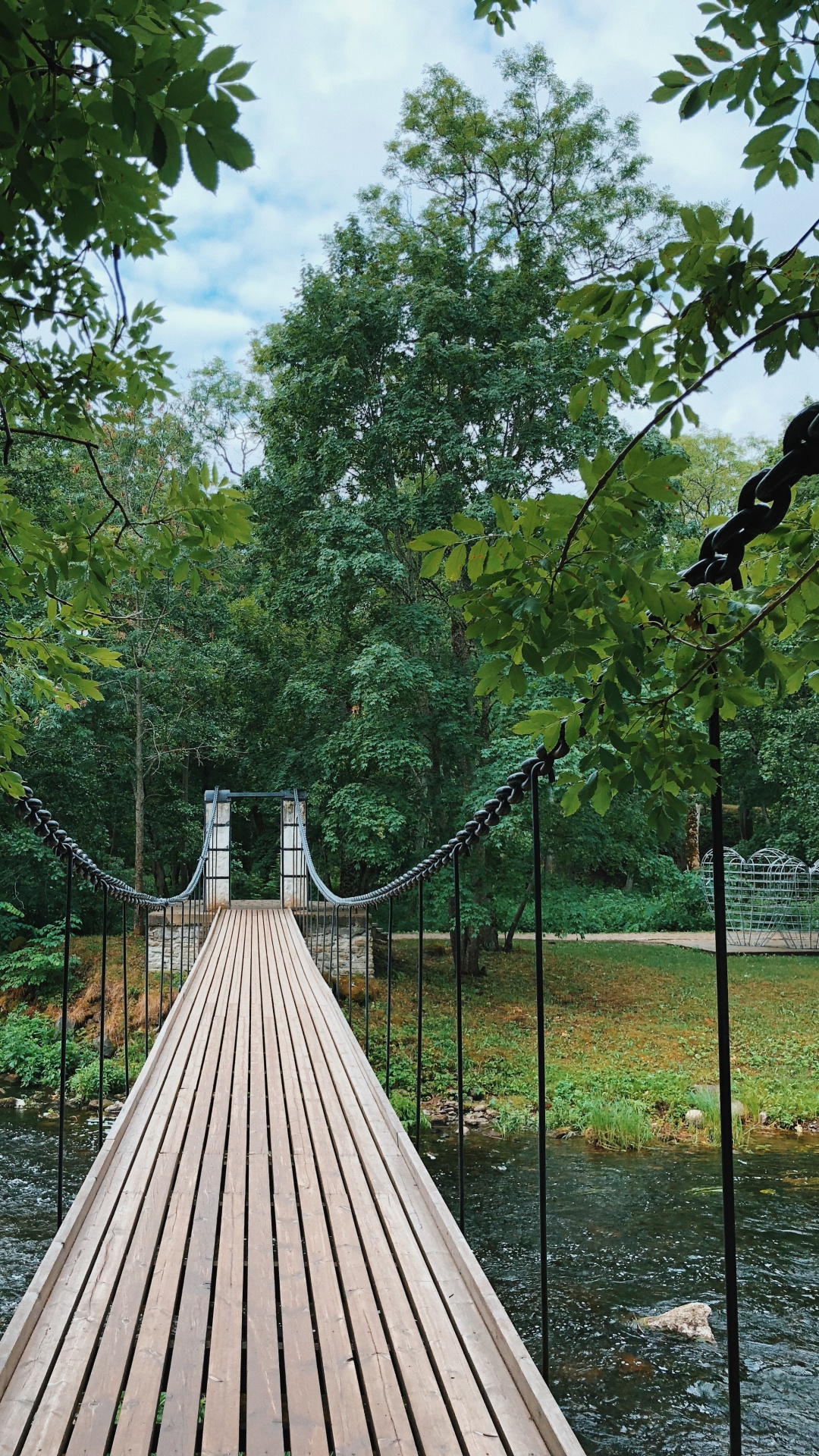 Обои природа, подвесной мост, биология, наука, древесина в разрешении 1080x1920