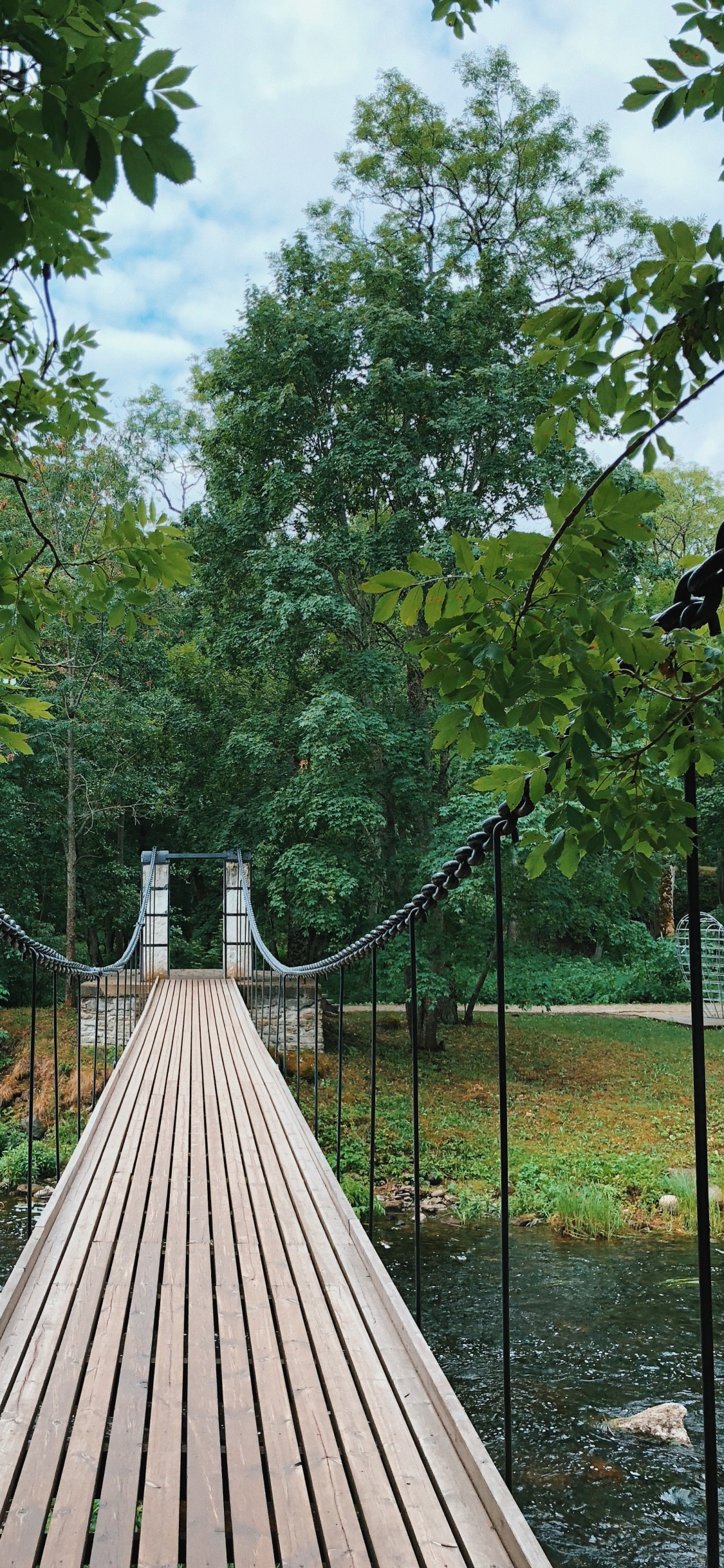 Обои природа, подвесной мост, биология, наука, древесина в разрешении 1125x2436