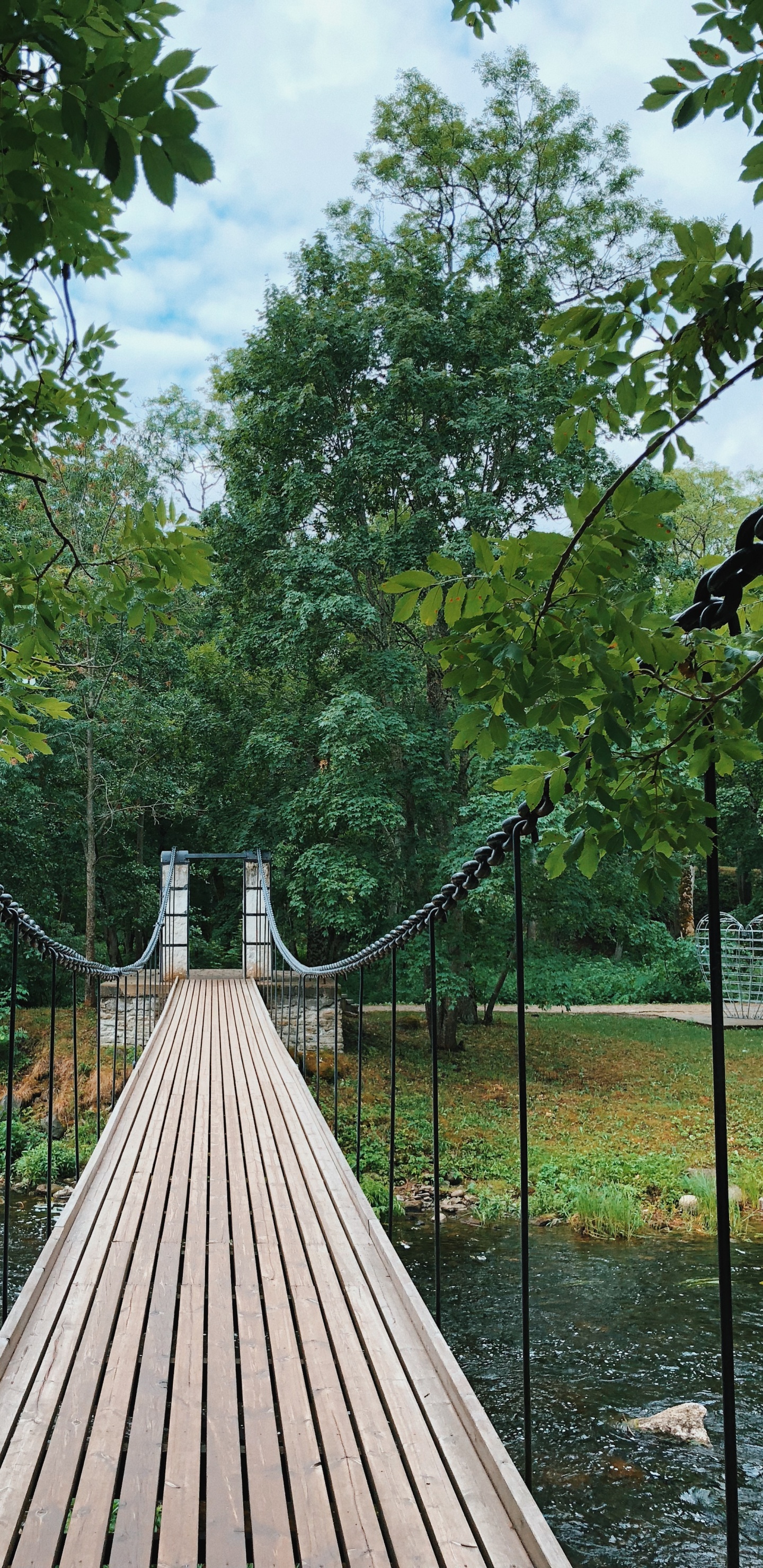 Обои природа, подвесной мост, биология, наука, древесина в разрешении 1440x2960