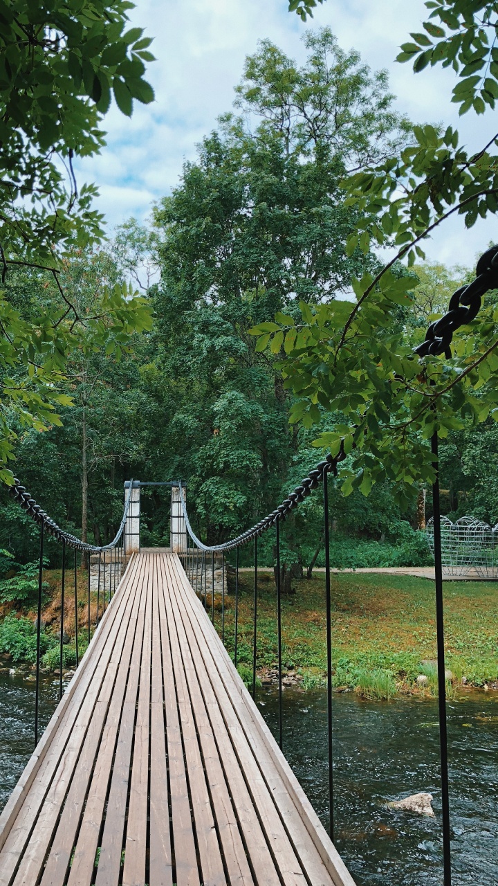 Обои природа, подвесной мост, биология, наука, древесина в разрешении 720x1280