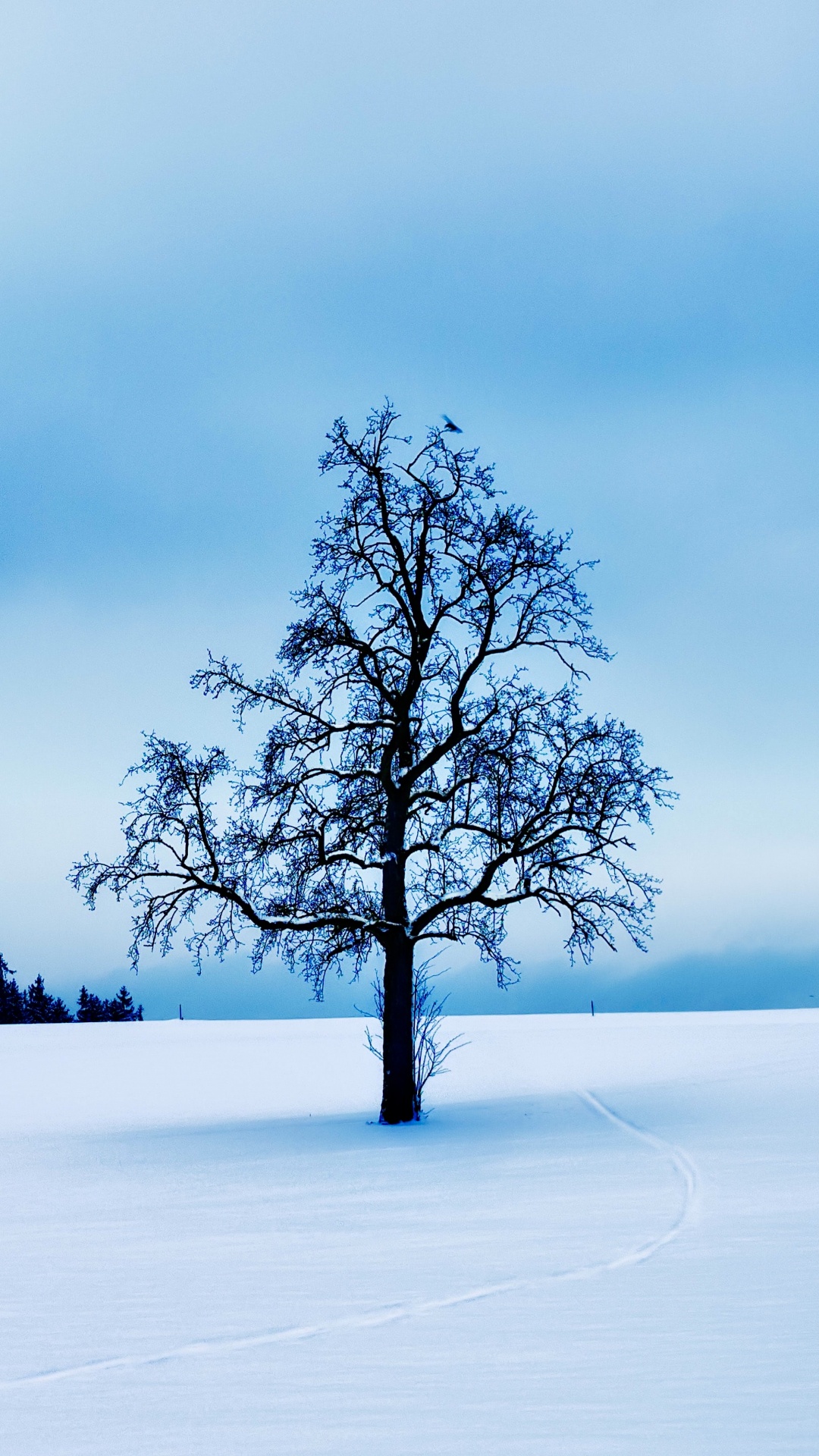 Обои галерея 1313, арт, артист, в галерее, облако в разрешении 1080x1920