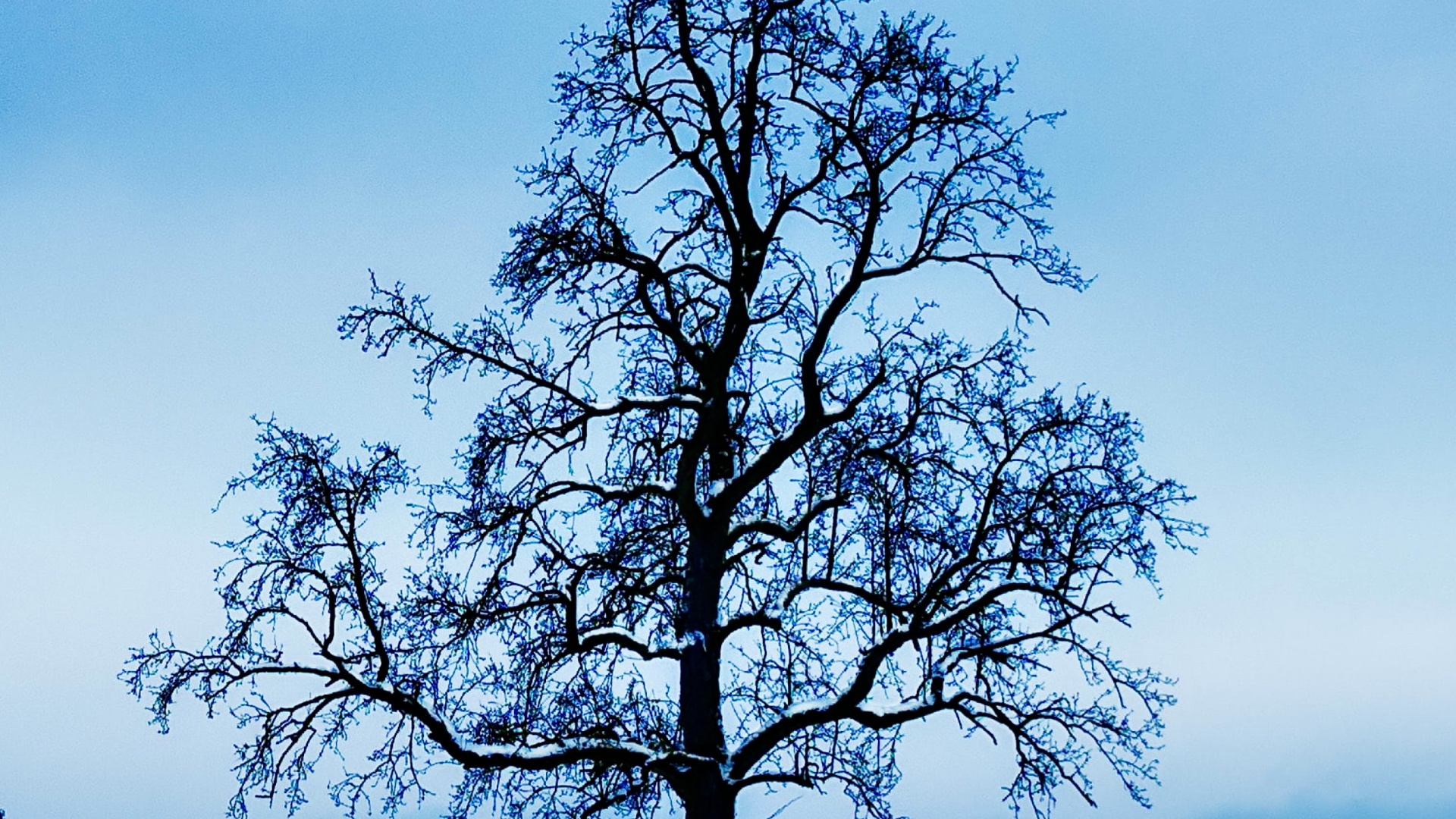 Обои галерея 1313, арт, артист, в галерее, облако в разрешении 1920x1080