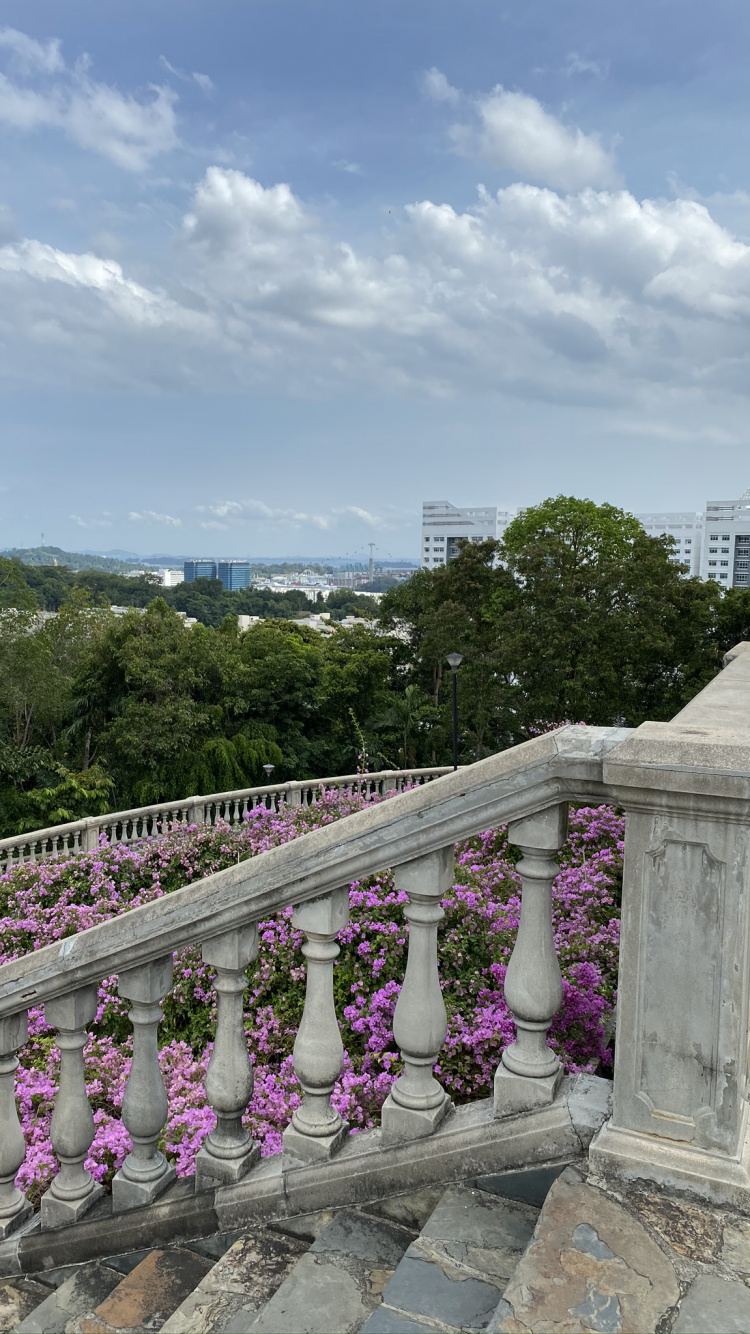 Обои облако, пурпур, пурпурный цвет, Фиолетовый, лаванда в разрешении 750x1334